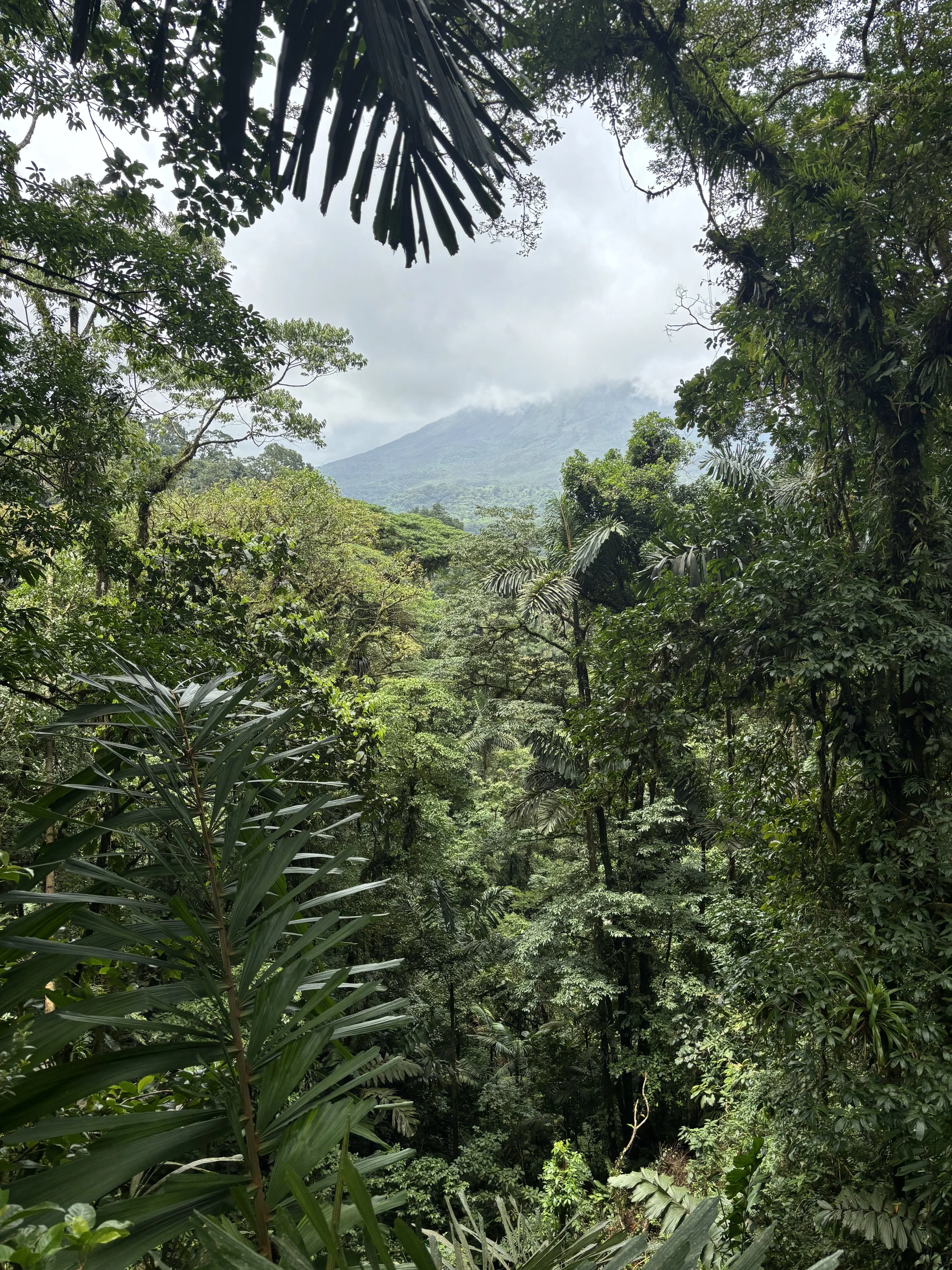 IMG_9265.jpeg