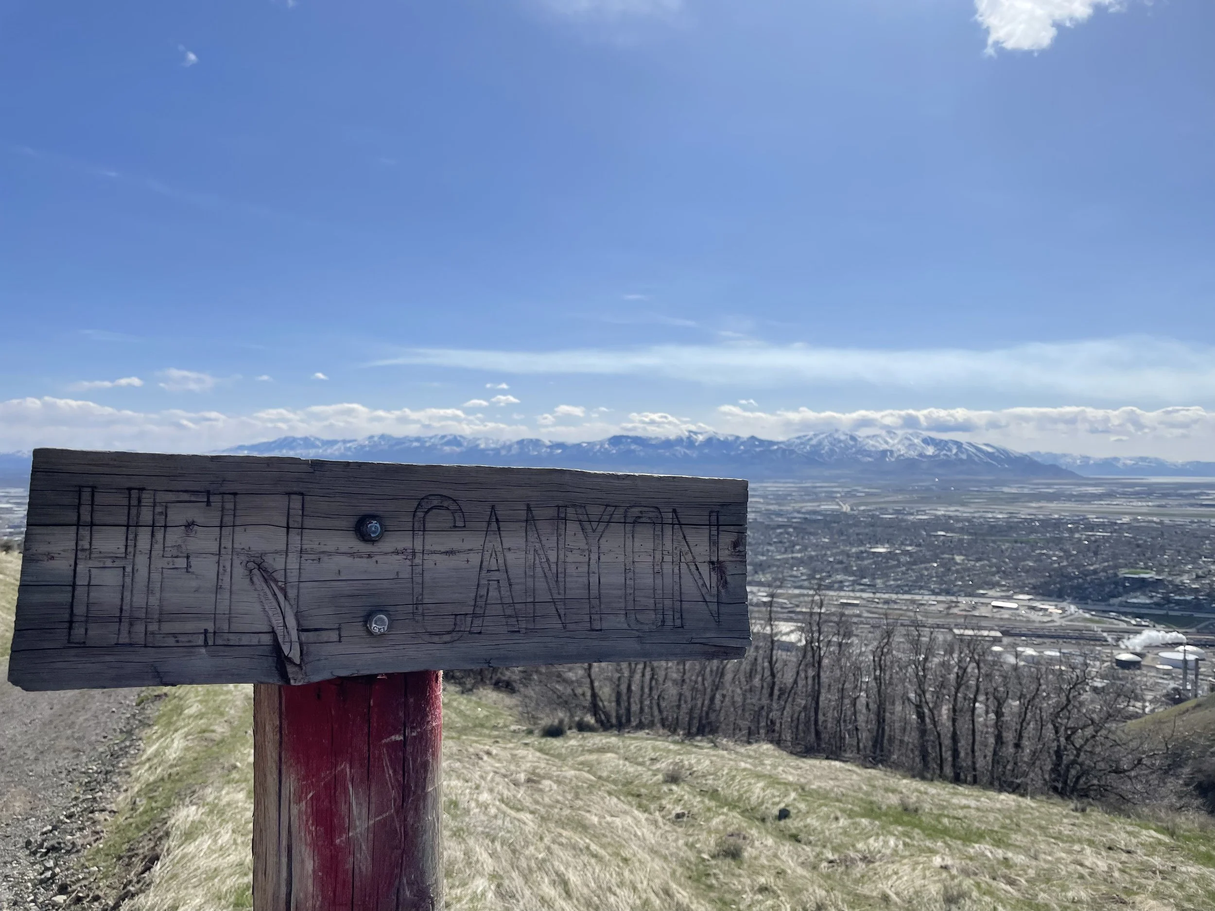IMG_4907.jpeg