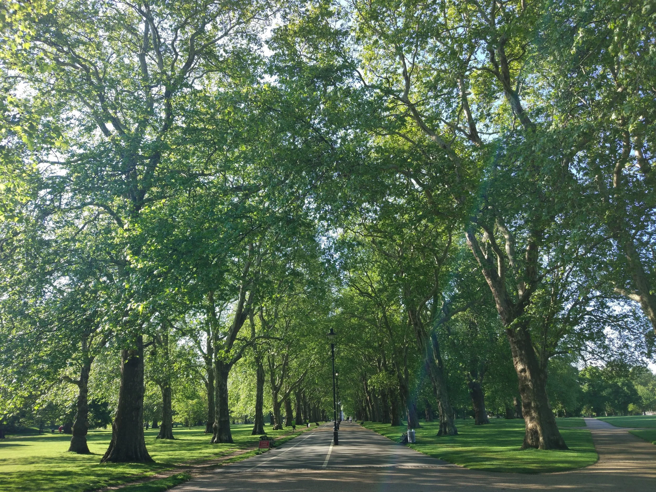 Hyde Park 2.jpg