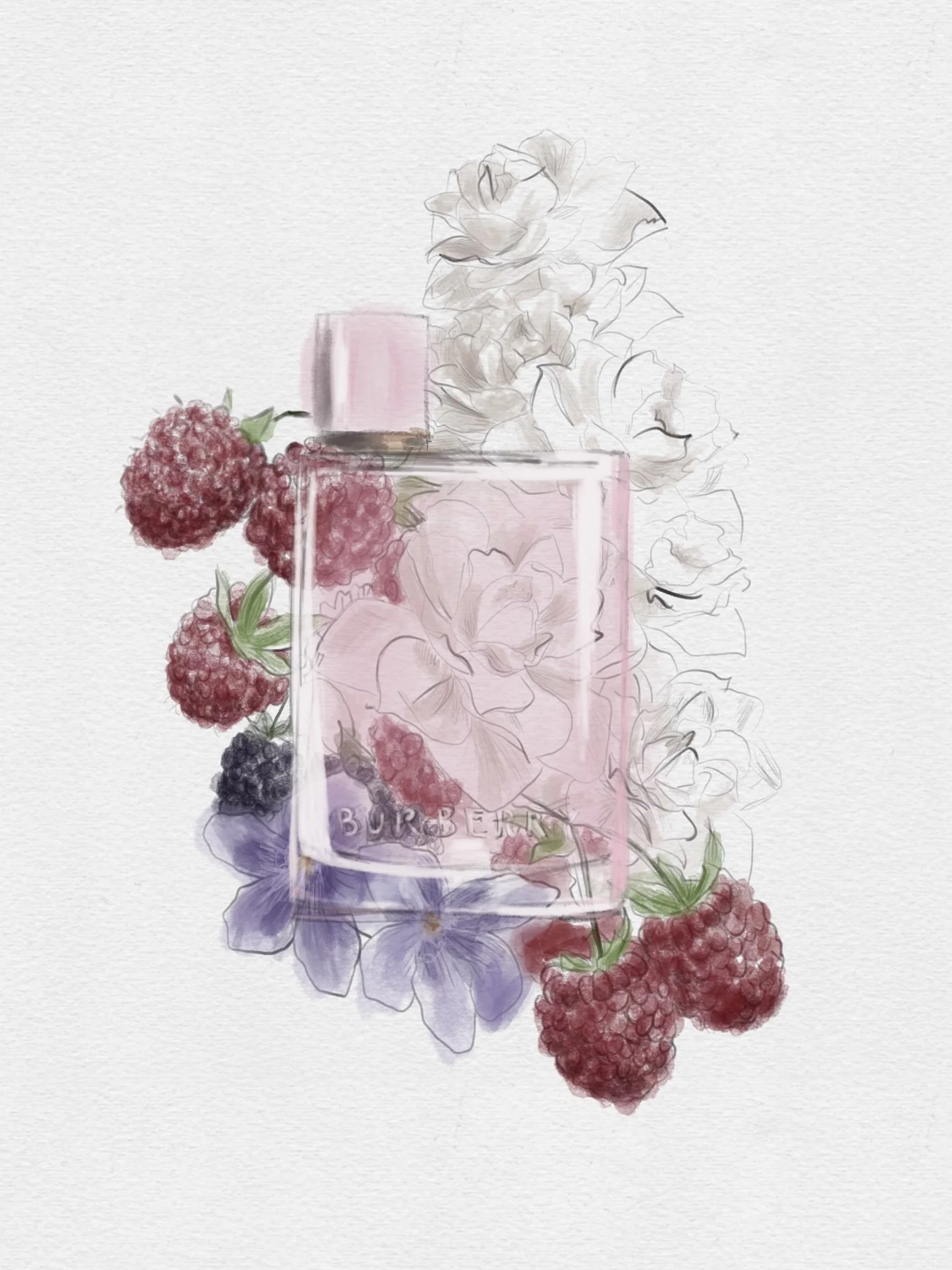 Product Illustration