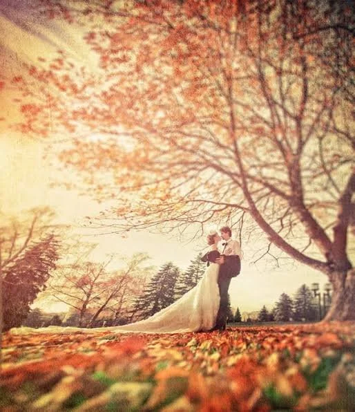 Wedding Season Is Here: Time to Review Your Insurance for Jewelry, Gifts, and One-Day Event Coverage