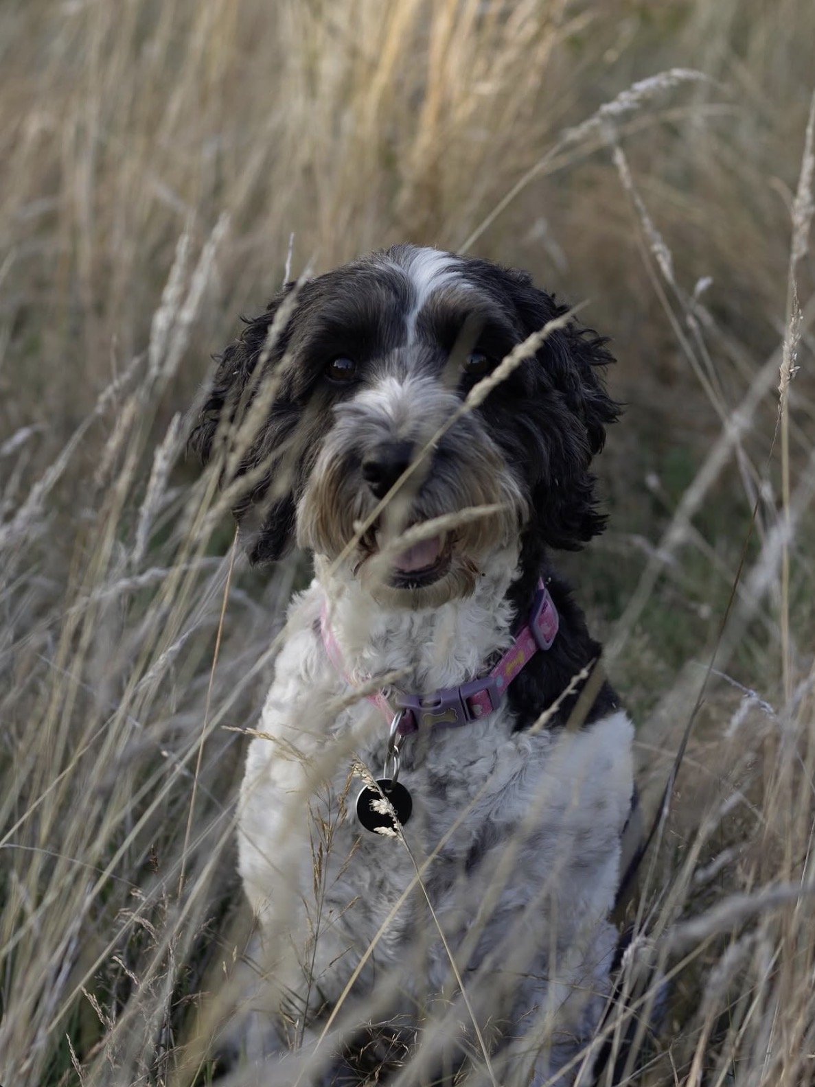 Photography outbursts