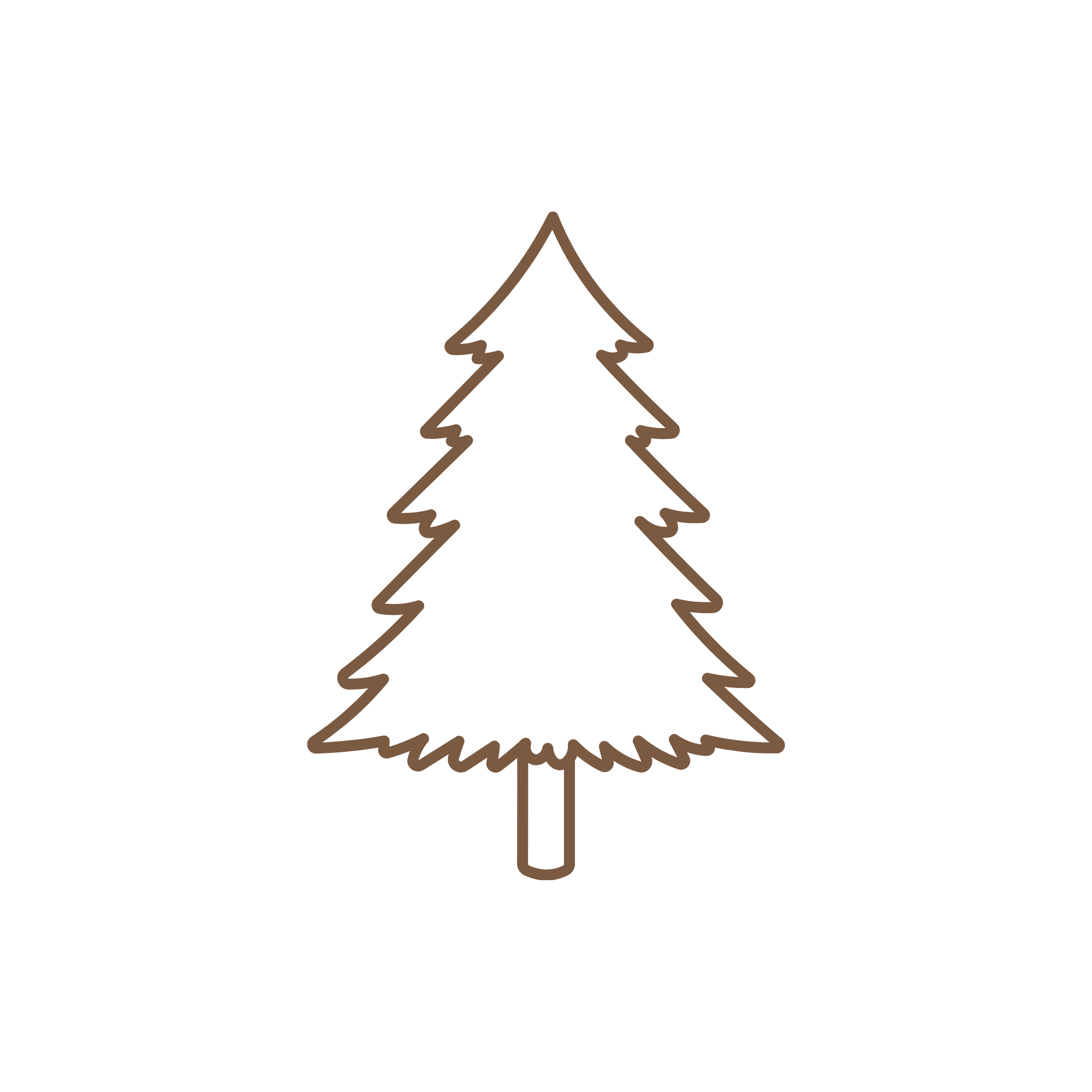 A fir tree illustration