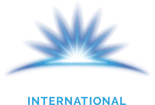 YouthVISION International