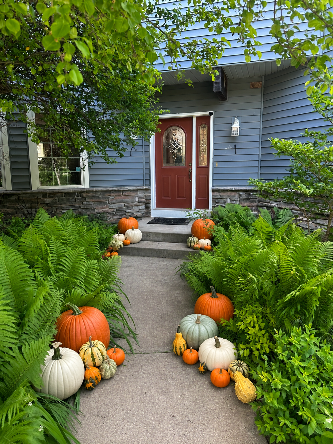 Front entrance of a house in Fitchburg, WI decorated with pumpkins and gourds in orange, white, green, and yellow, with lush green plants and ferns along the pathway leading to a red door with decorative glass, blue siding house.