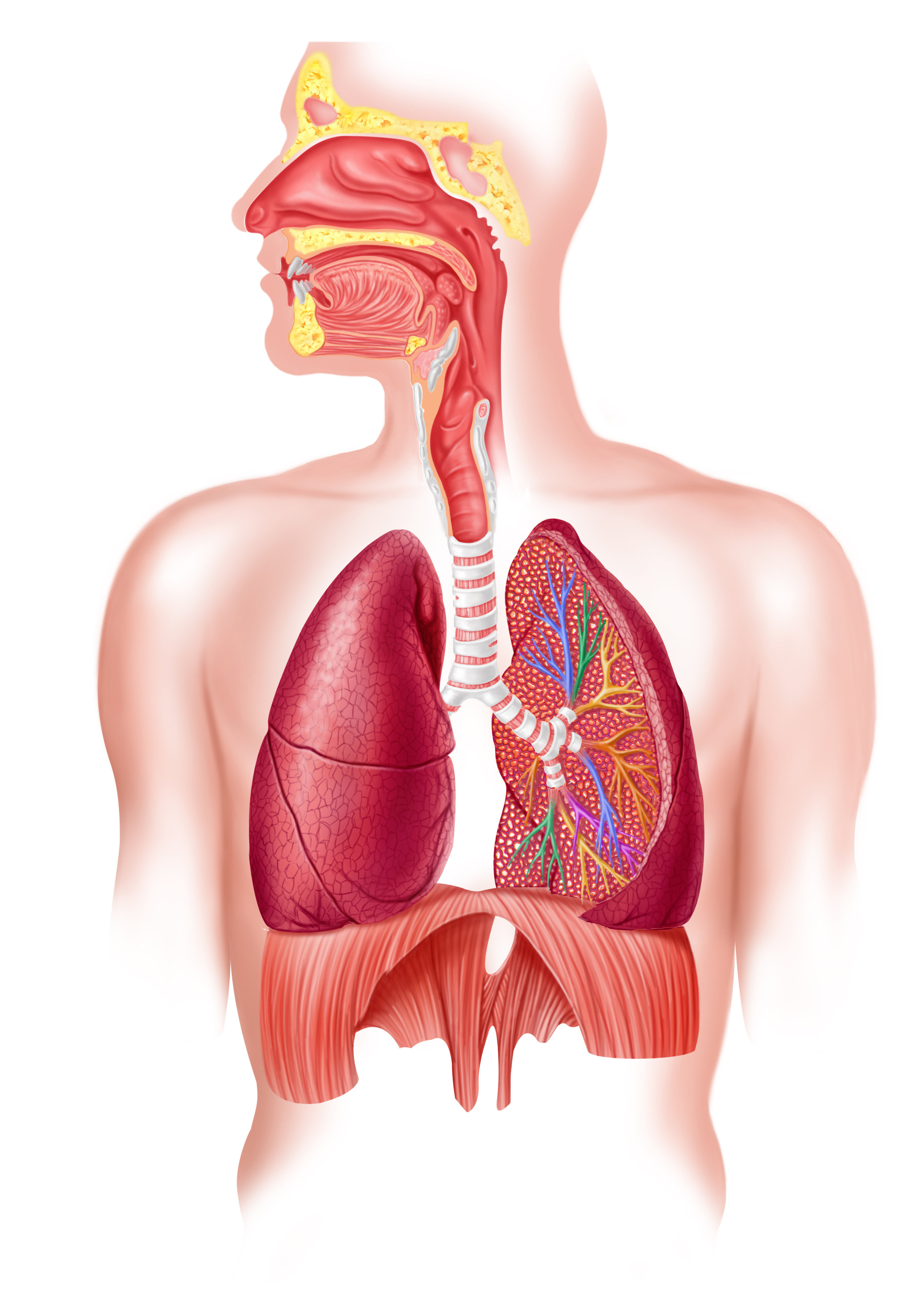 shutterstock_73841773.jpg