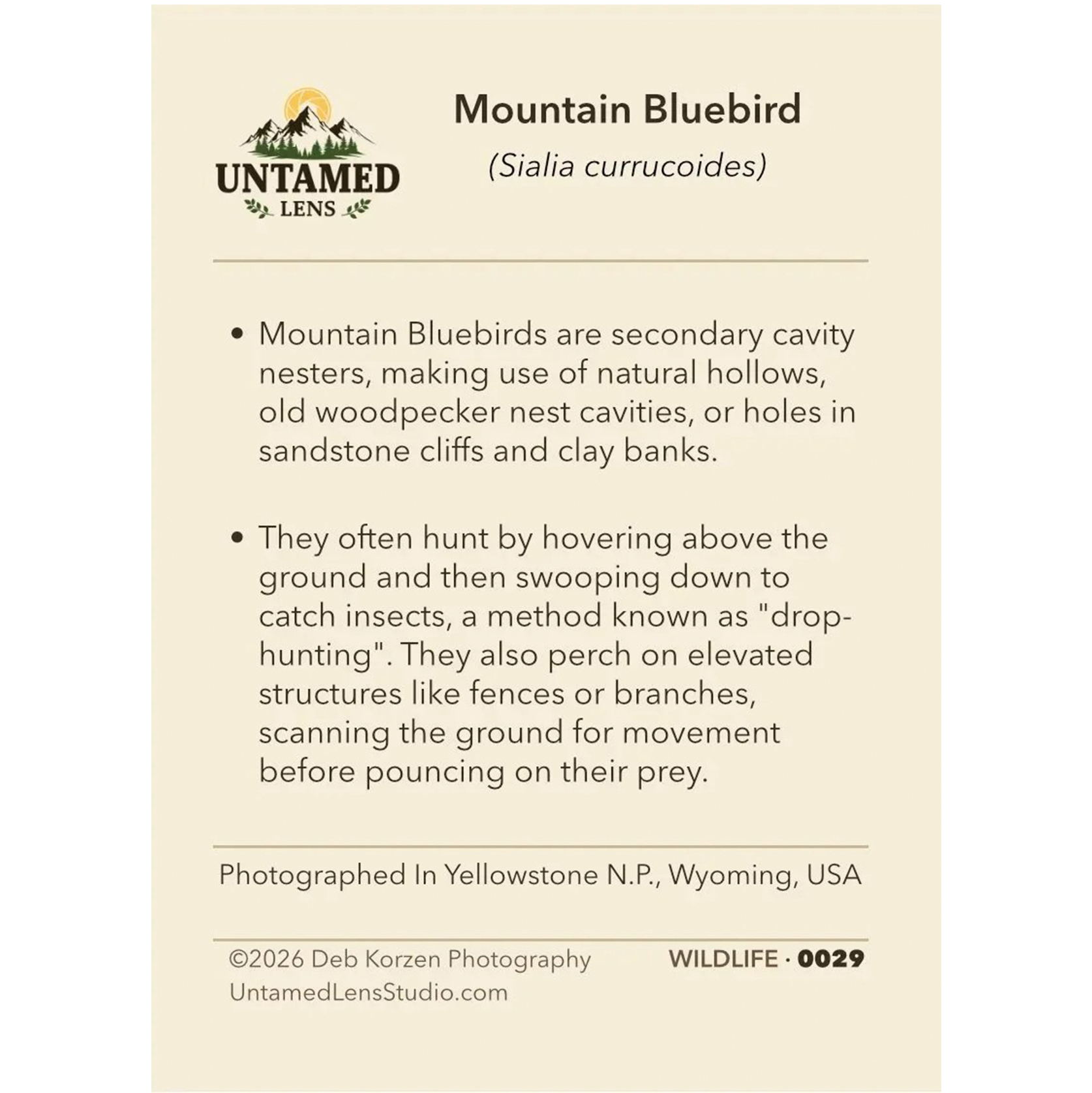 collector-cards-fact.png