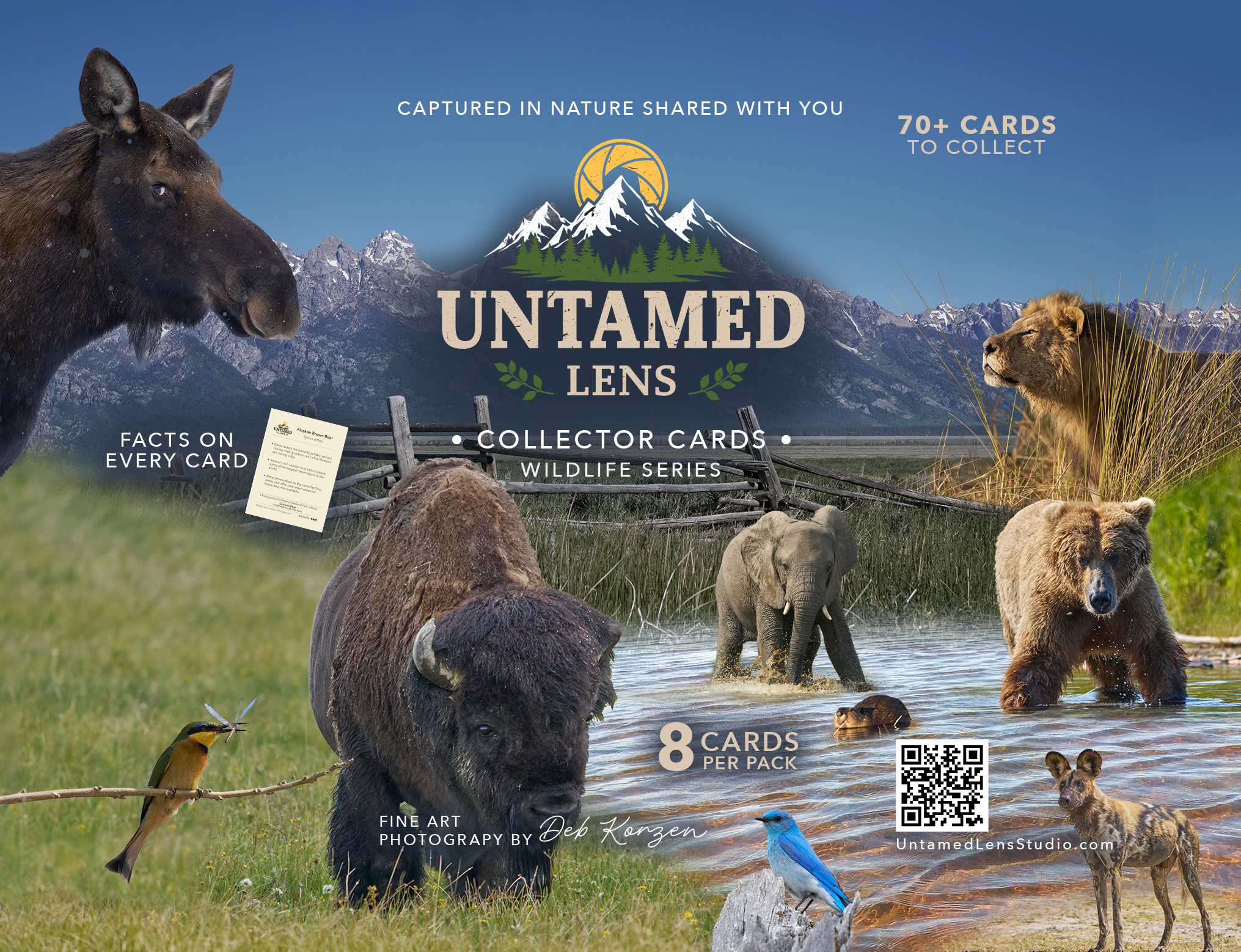 Collectible Cards