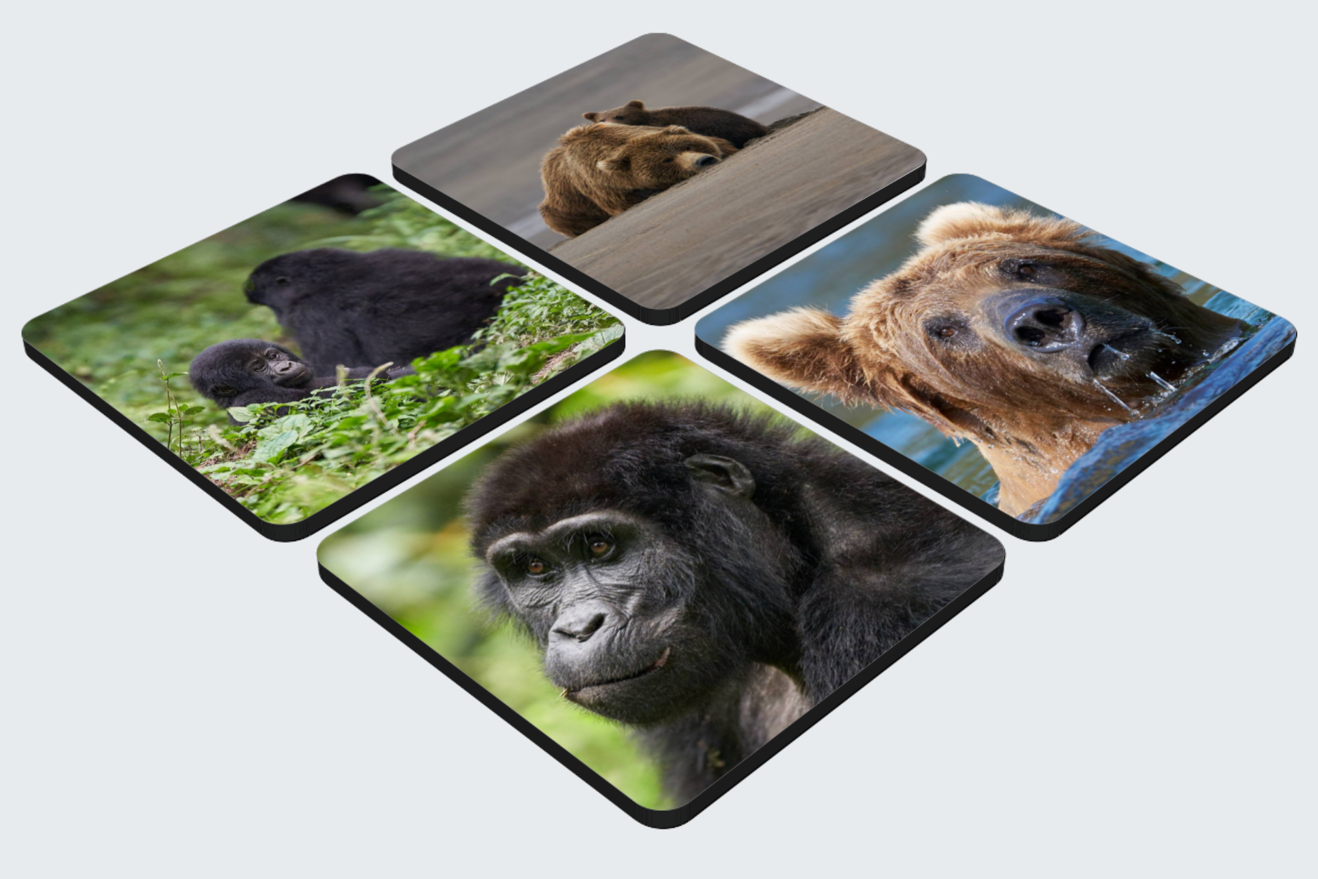 Nature Inspired Coasters