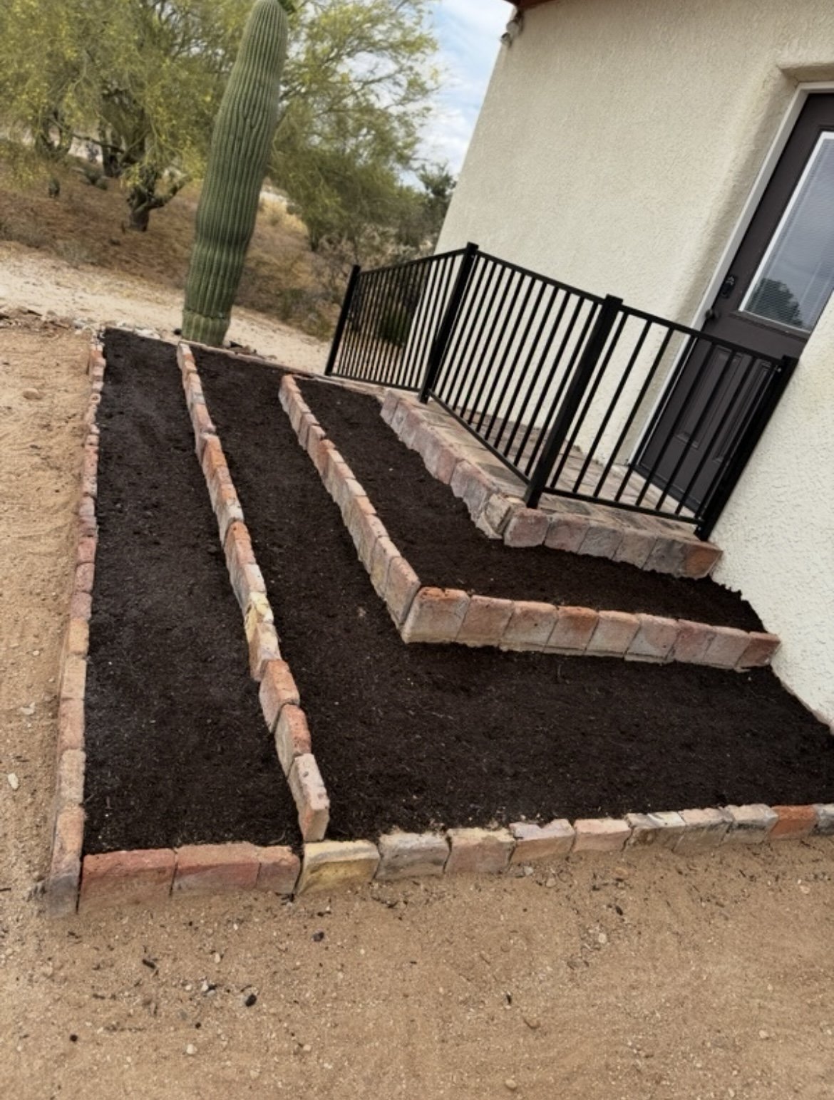 Newly built brick garden beds with dark soil, located near a house with a small brick porch and black metal railing. A tall Saguaro cactus and desert trees are in the background.