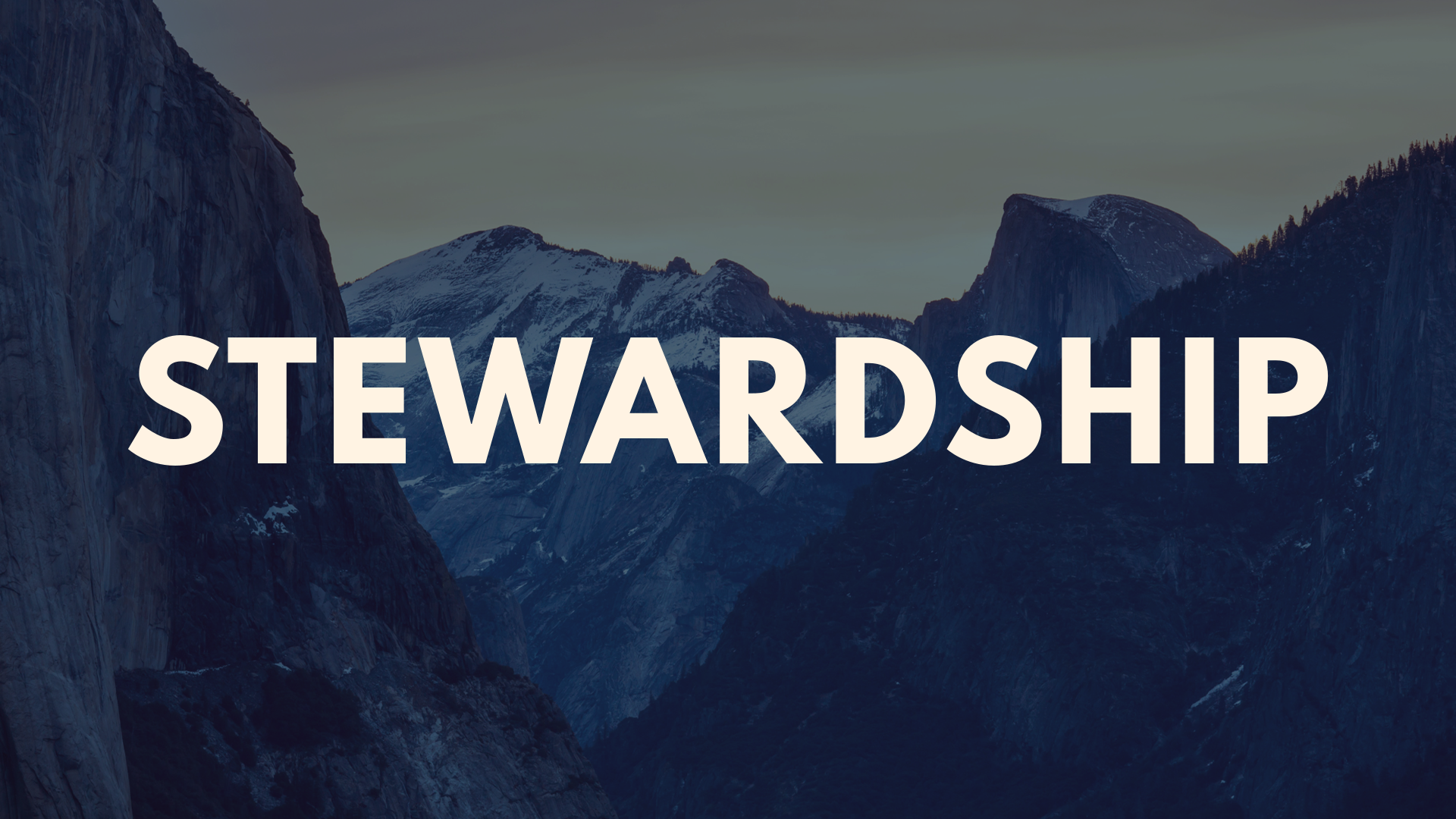 stewardship.png