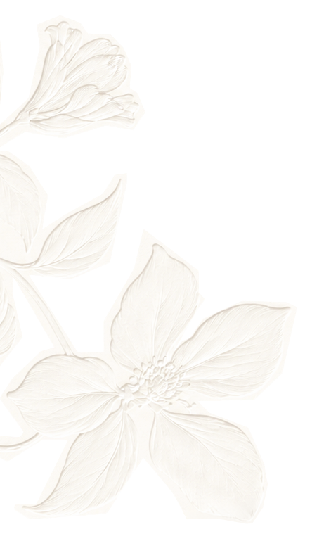 White flower with large petals and detailed stamen design.