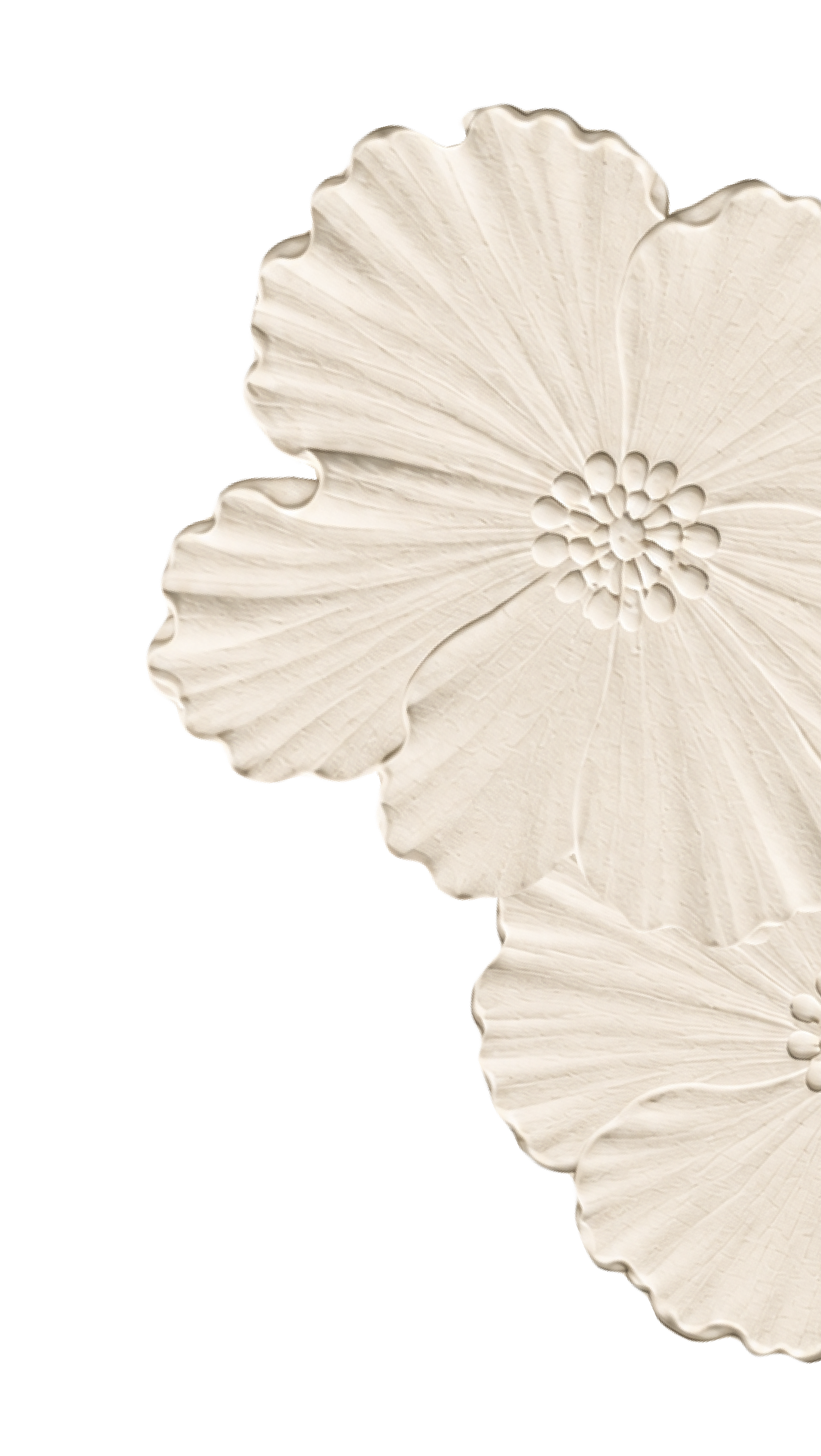 Close-up of cream-colored, ruffled, floral-shaped ceramic dishware with a flower motif on black background.