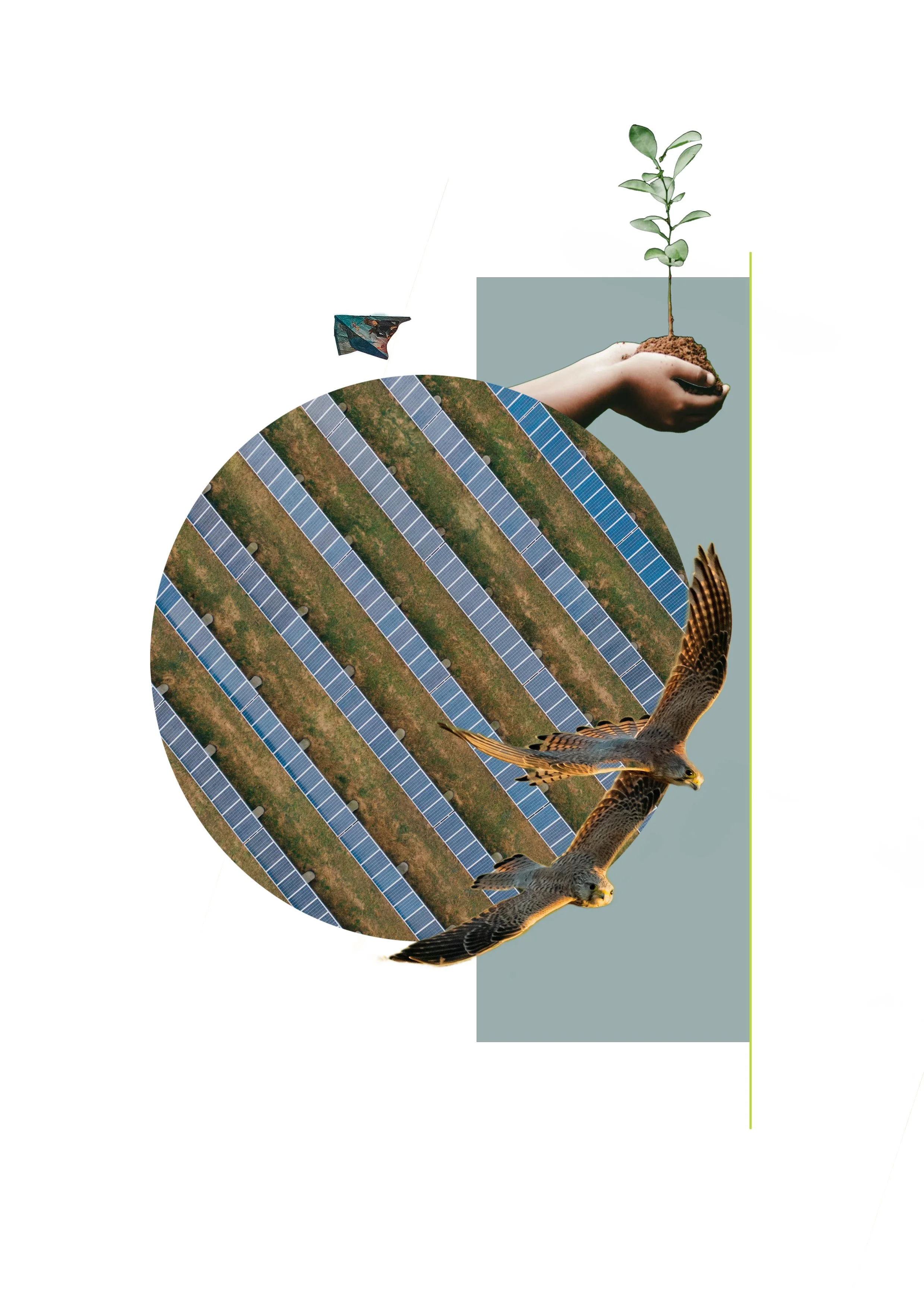 photoshop sustainability 3.jpg