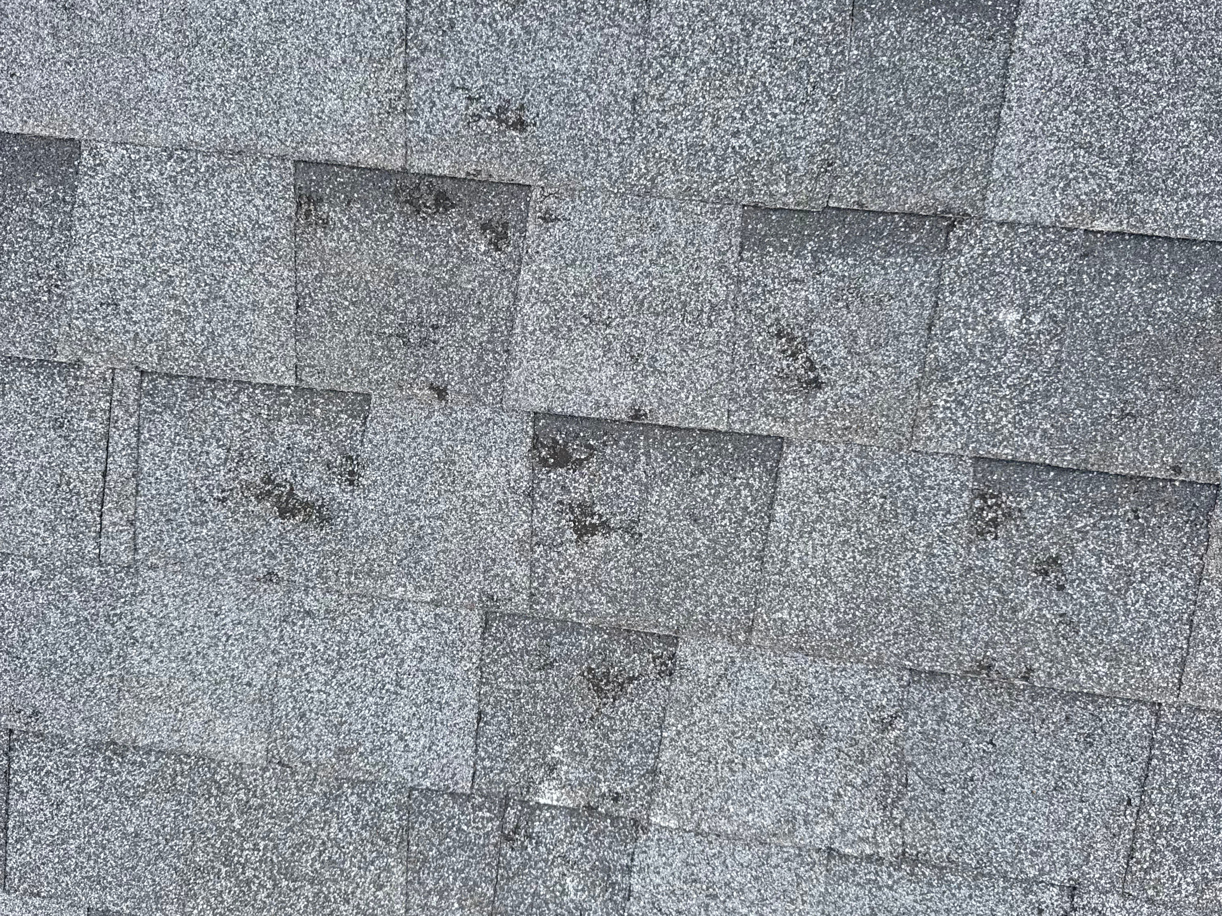 Damaged Shingles OKC