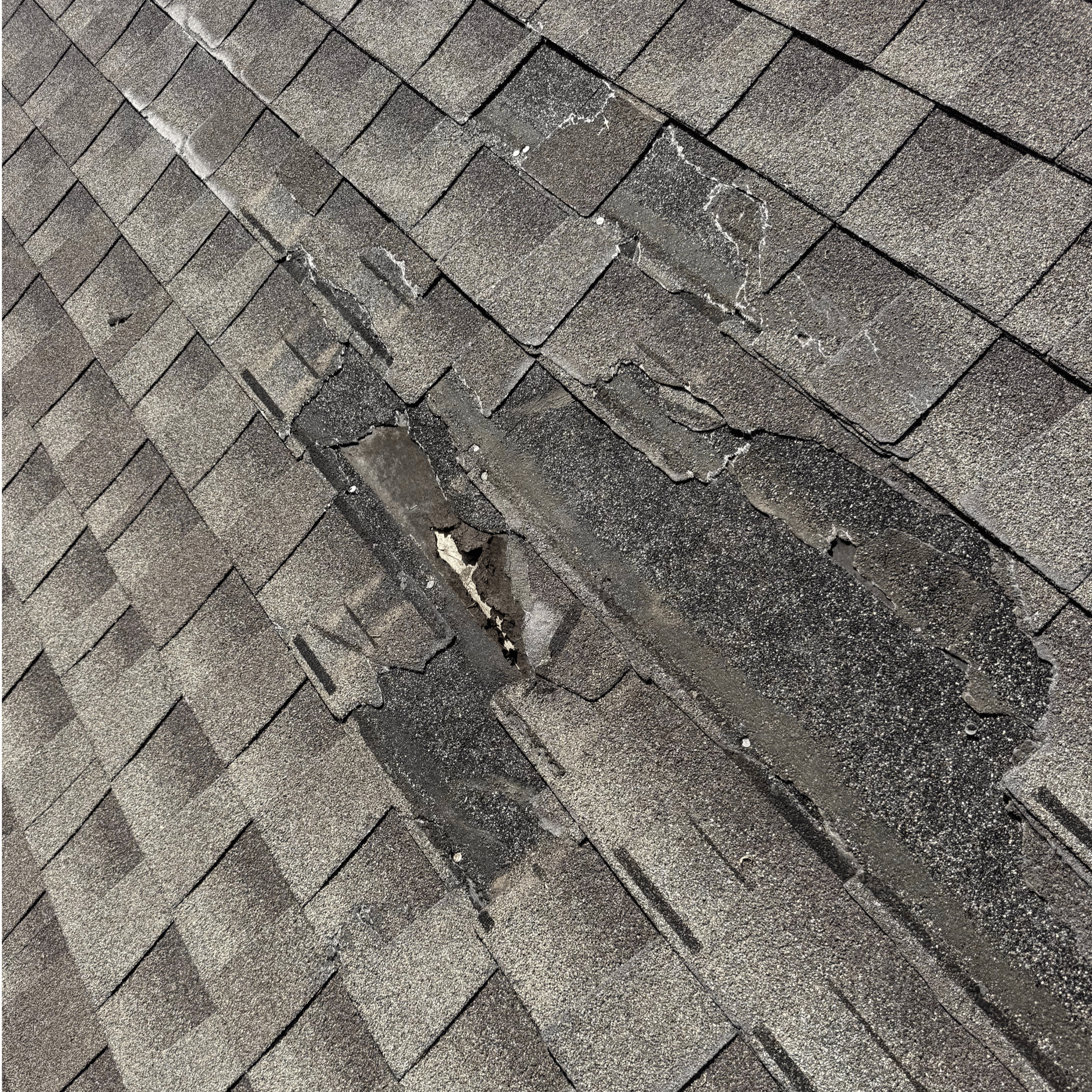 Roof Leak Repair