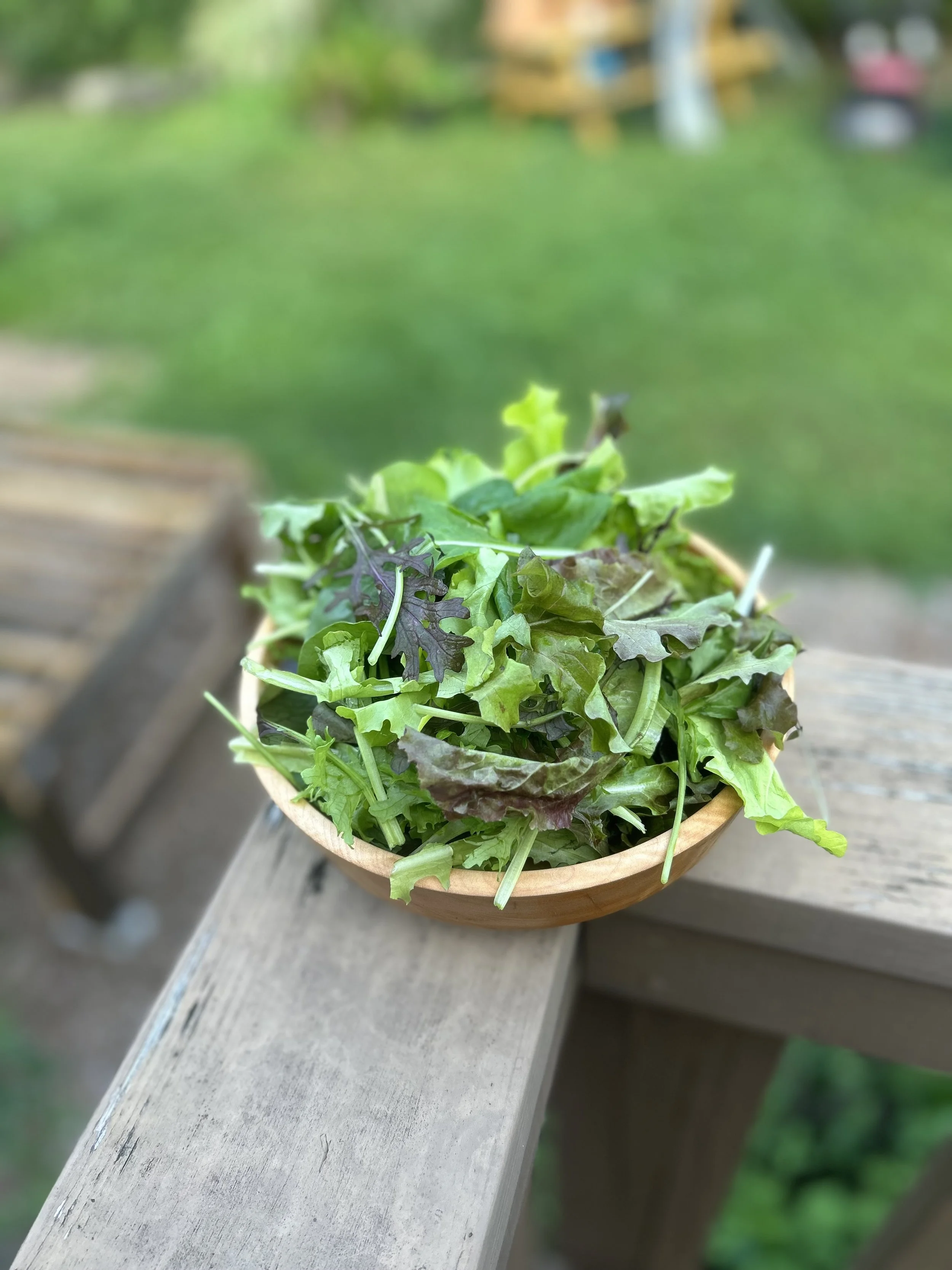 Primo Salad Mix