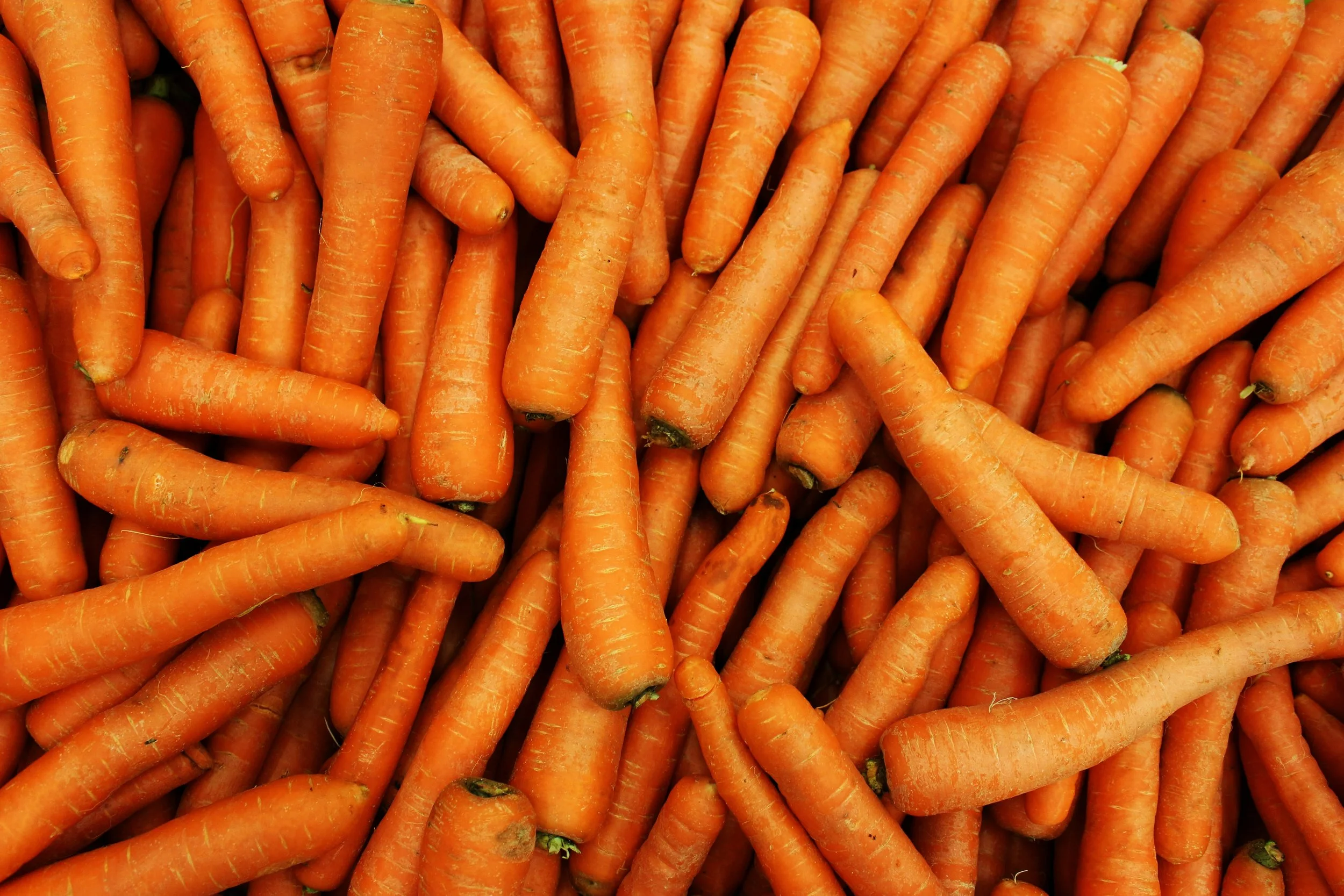 Carrots, loose