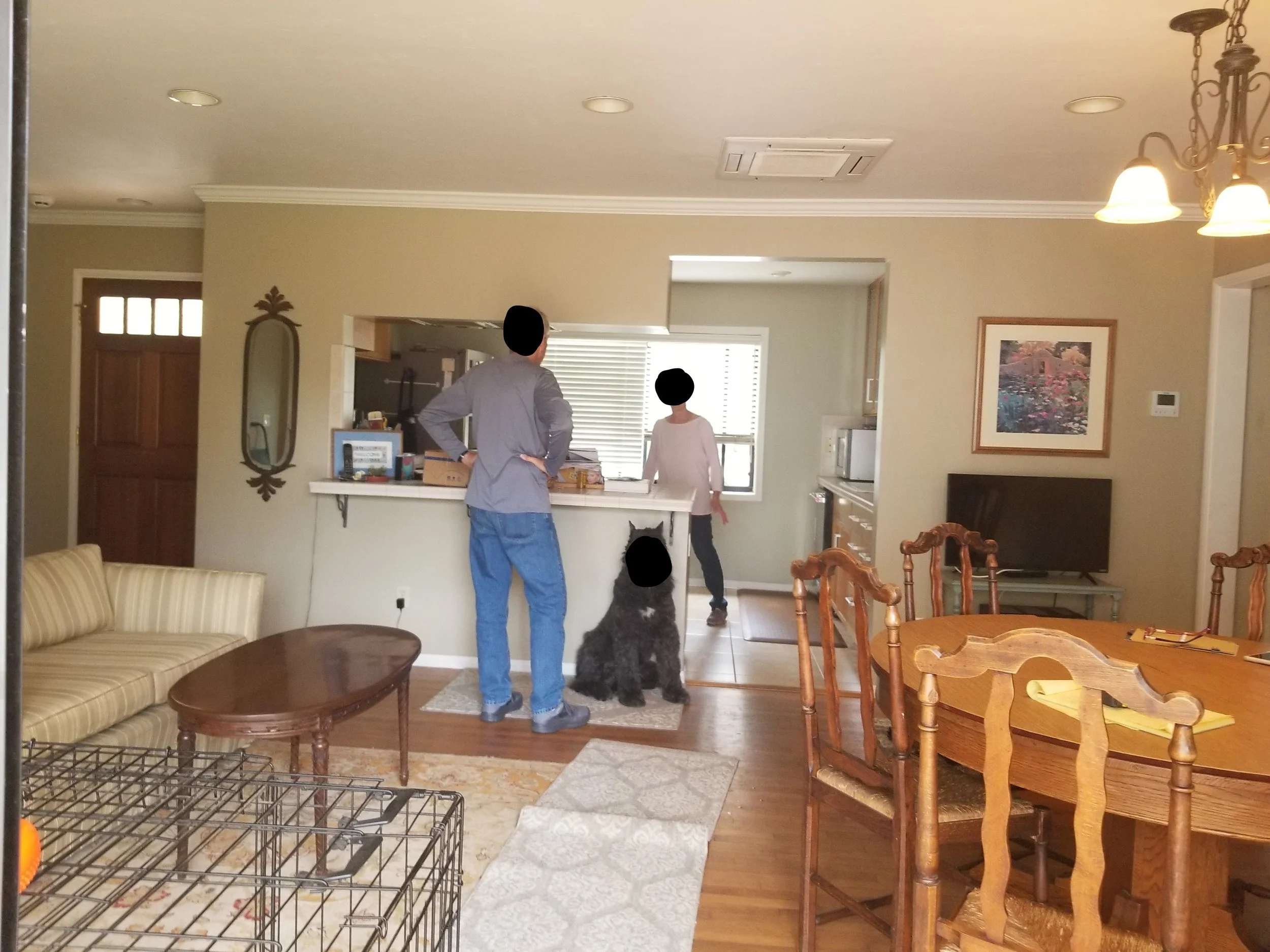 Inside a living room with a dining table, chairs, a couch, and a kitchen area in the background. A man, child, and dog are near the kitchen. The man has his hand on his hip, the child is walking, and the dog is sitting in front of them.