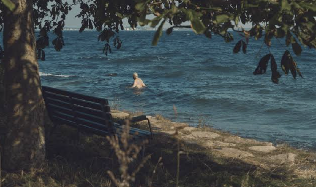 A person swimming in a body of water near a bench and shaded by trees.