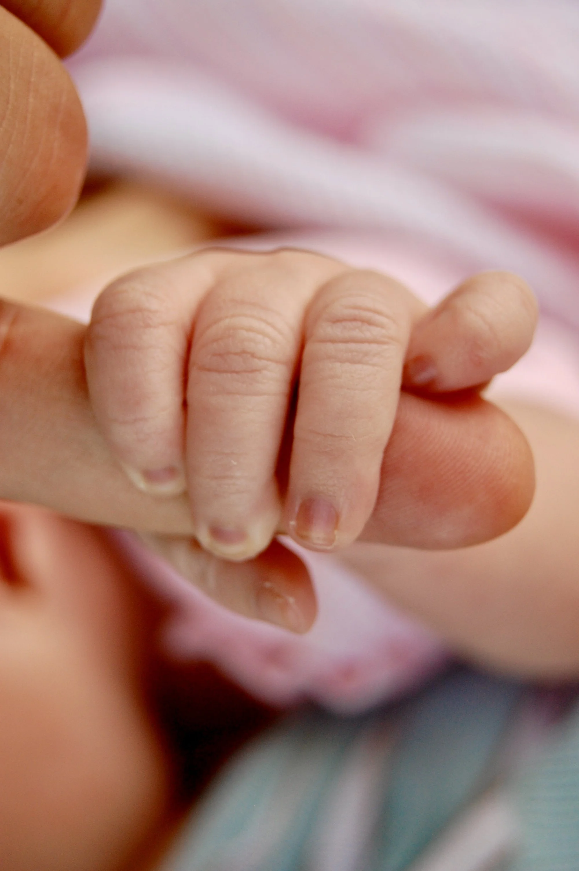 Baby hand Ottawa Doula Pregnancy Birth Postpartum Support