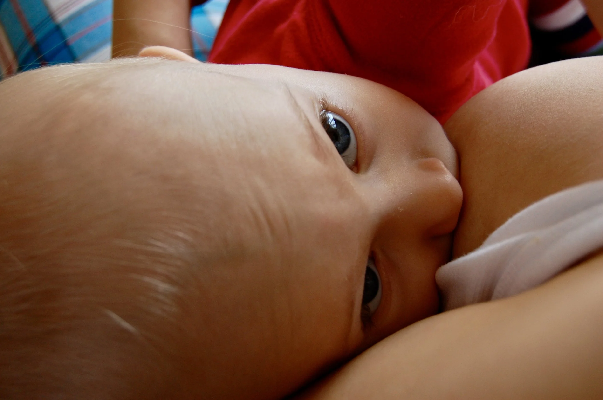 Baby Breastfeeding Birth Pregnancy Postpartum Doula Support Ottawa