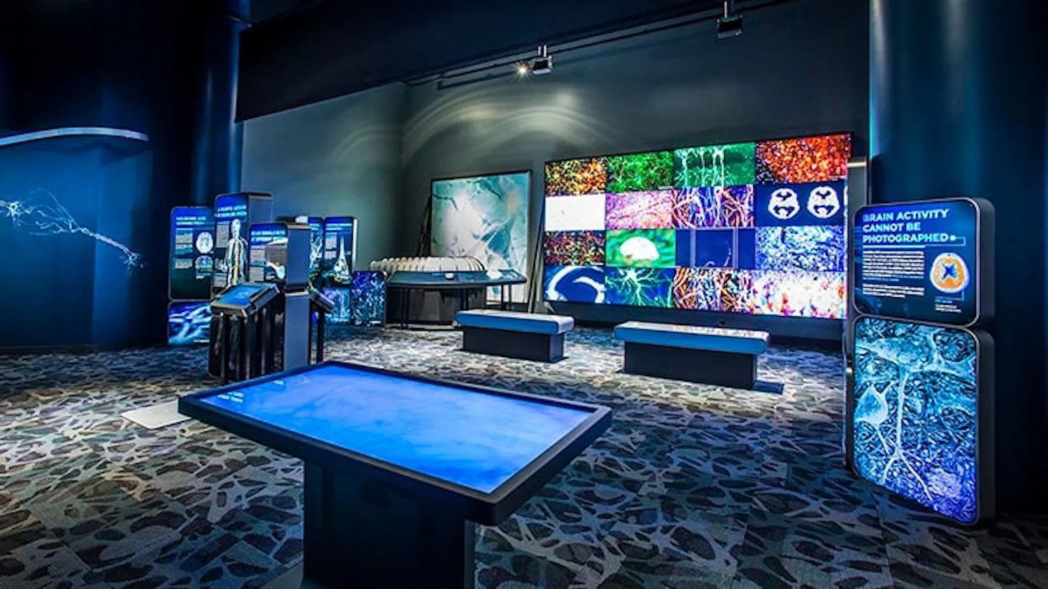 Your Brain - The Franklin Institute - 2014