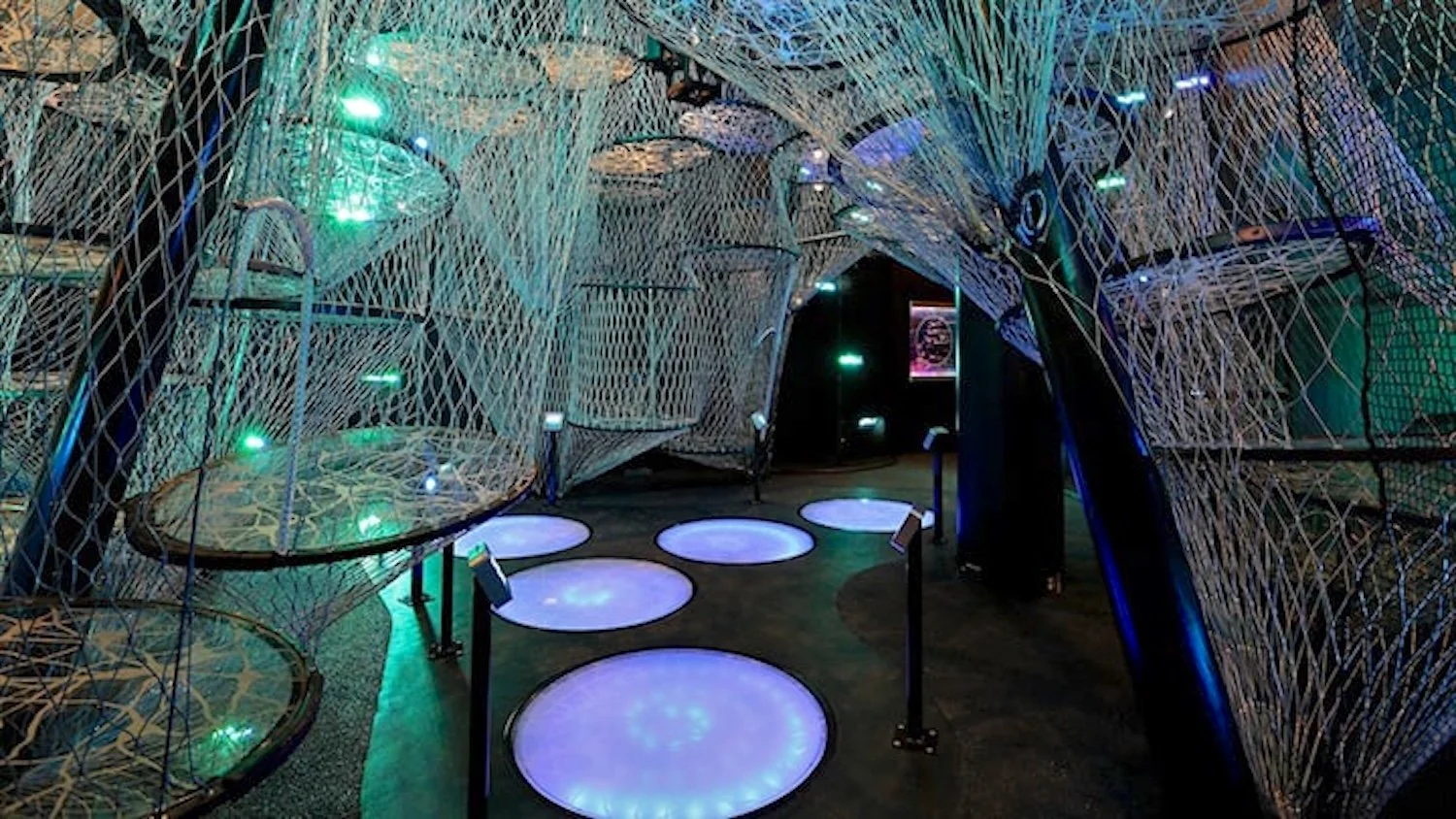 Your Brain - The Franklin Institute - 2014