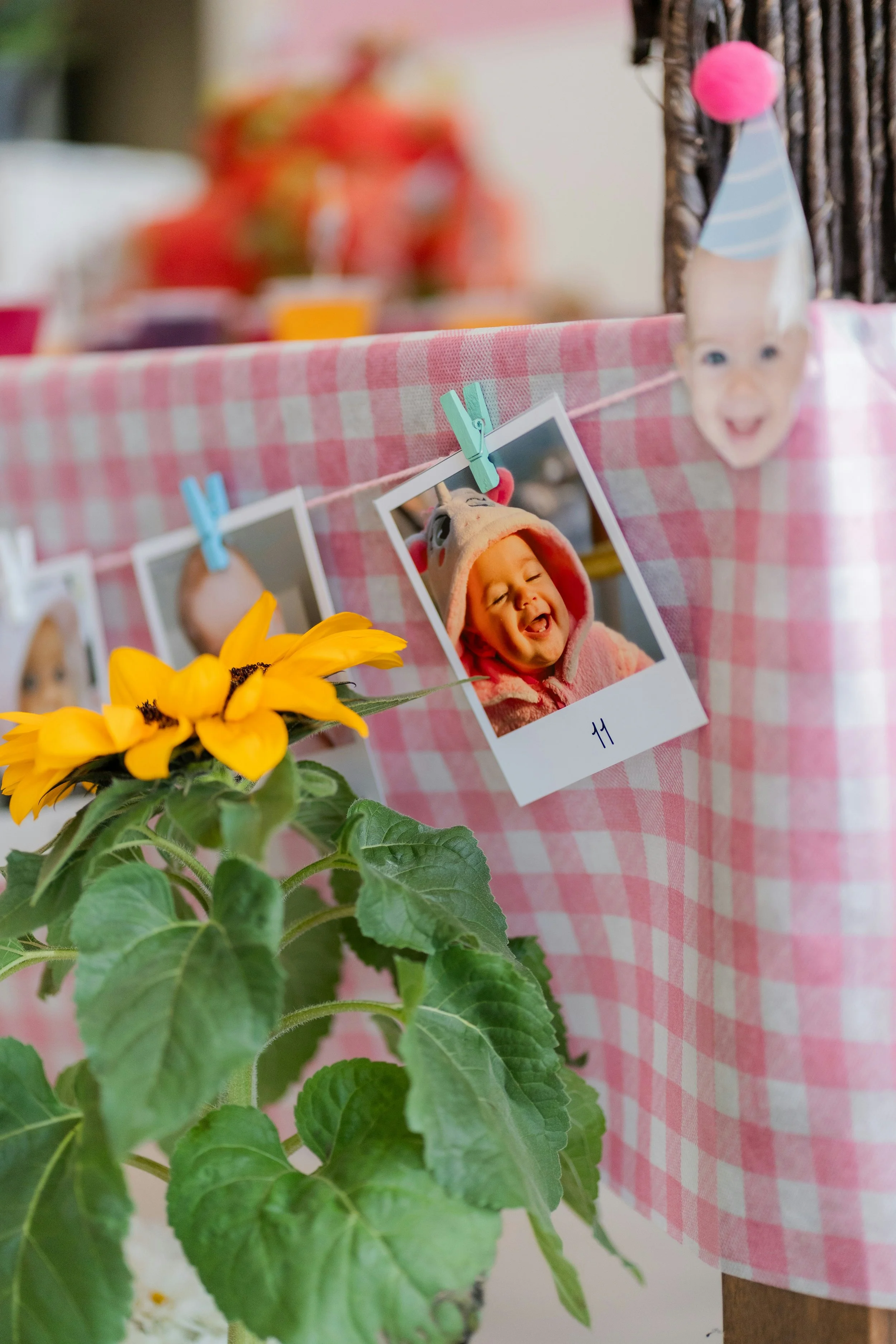 Colorful photo of a decorative display with photographs of children, including a baby in a yellow hat, clipped to a string with clothespins, set against a pink and white checkered cloth. A sunflower with green leaves is in the foreground.