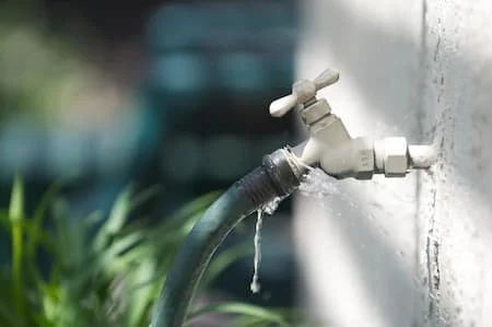 A close-up of a faucet with water dripping from it, attached to a white wall, with some greenery in the background.