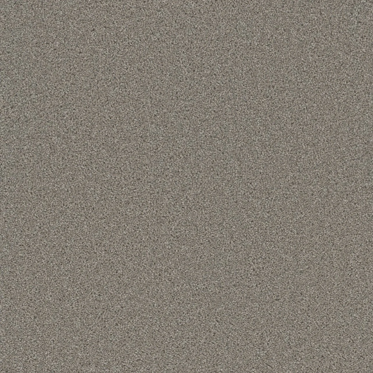 New Braunfels Grey