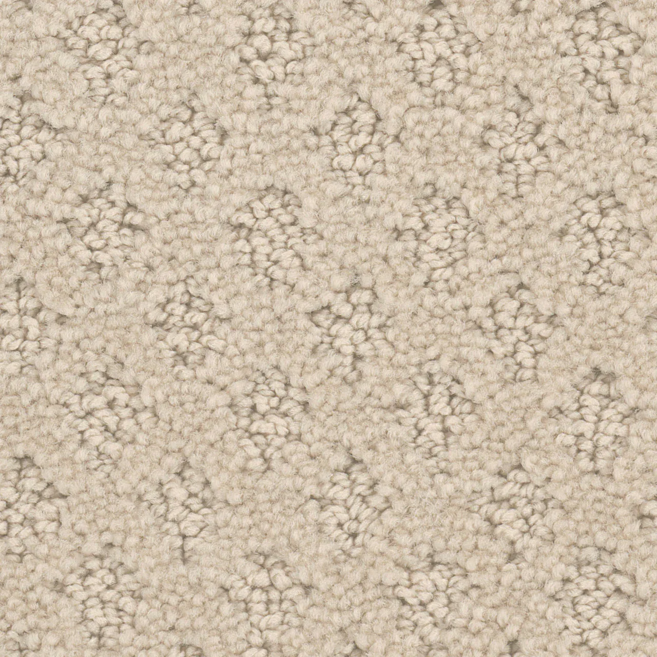Premium South Texas Eggshell