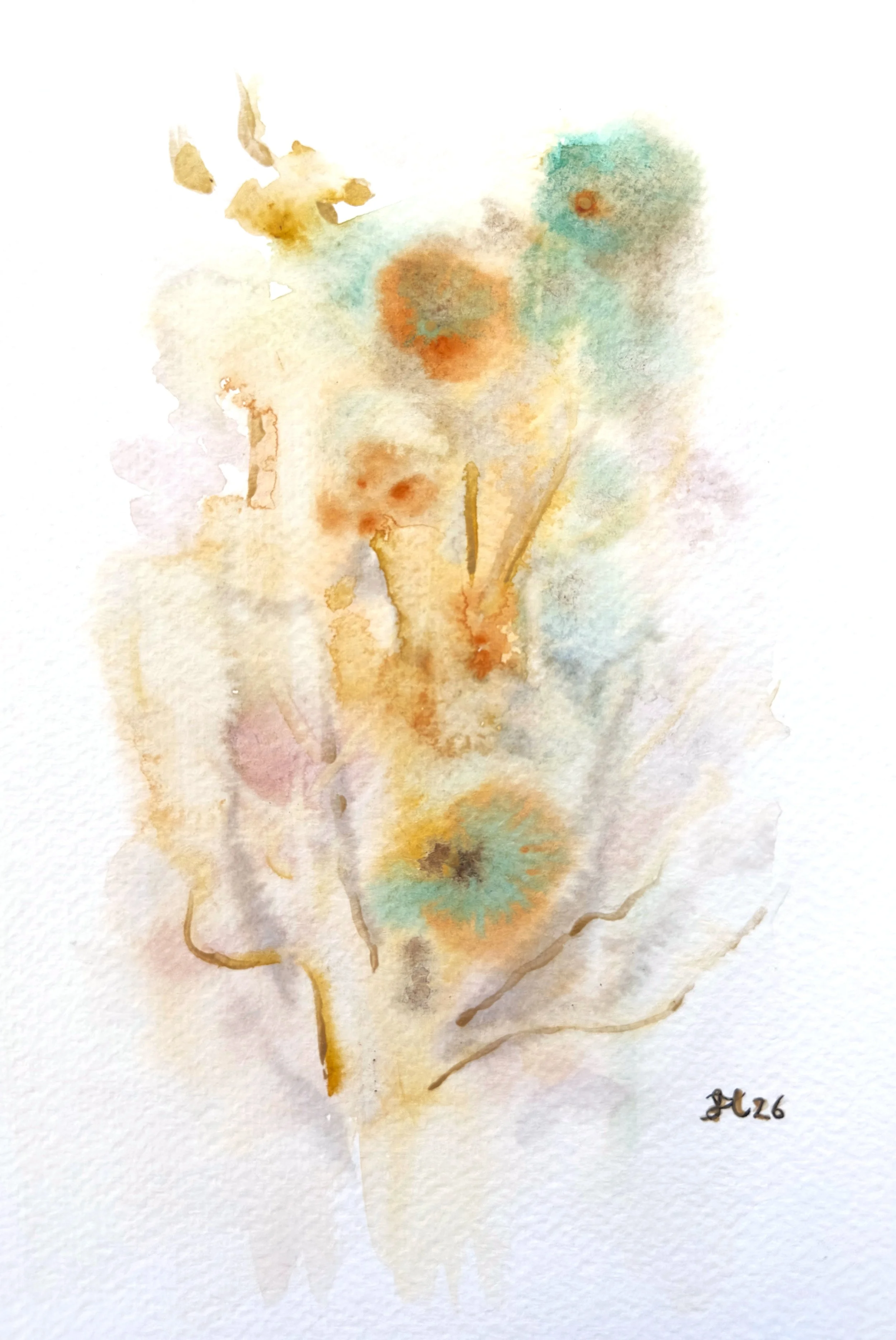 Celadon Dream