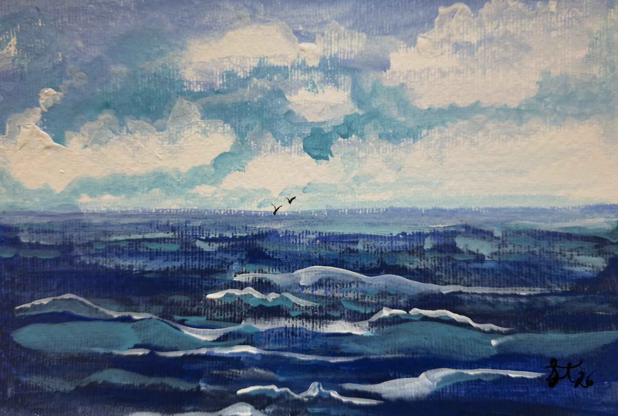 Sea Collection 3