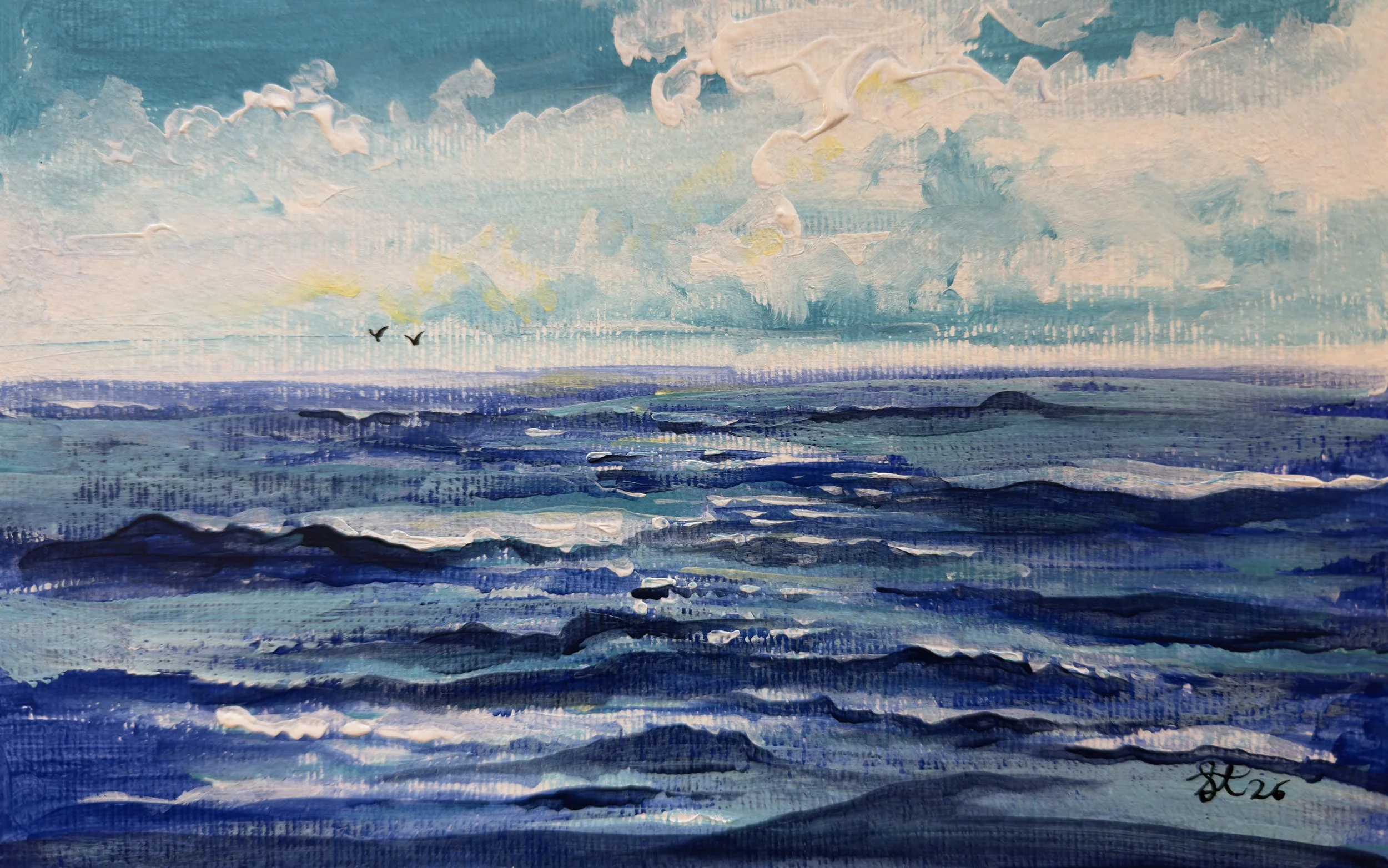 Sea Collection 1