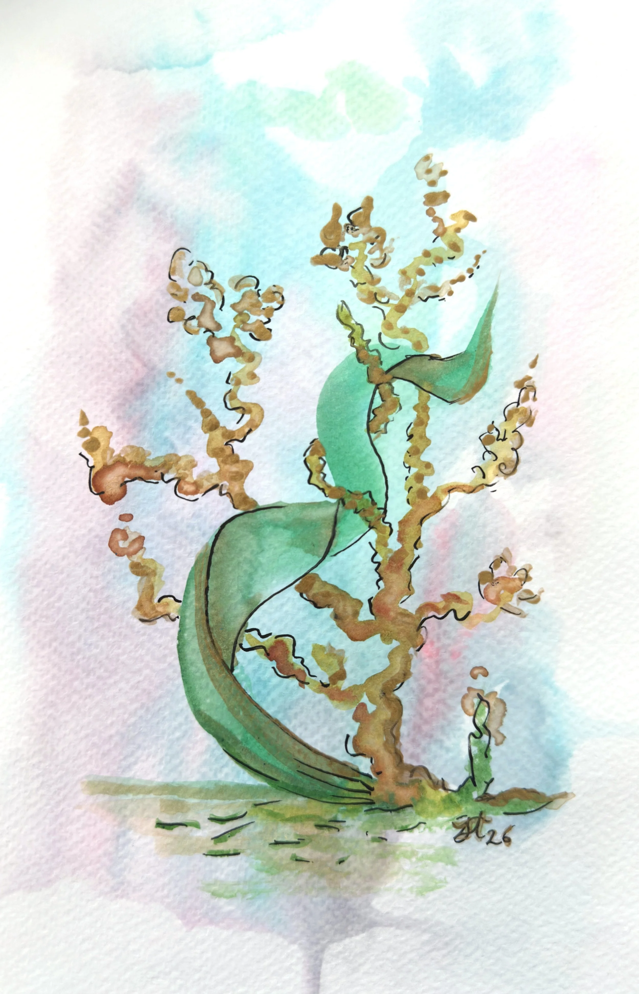United by Currents of Life