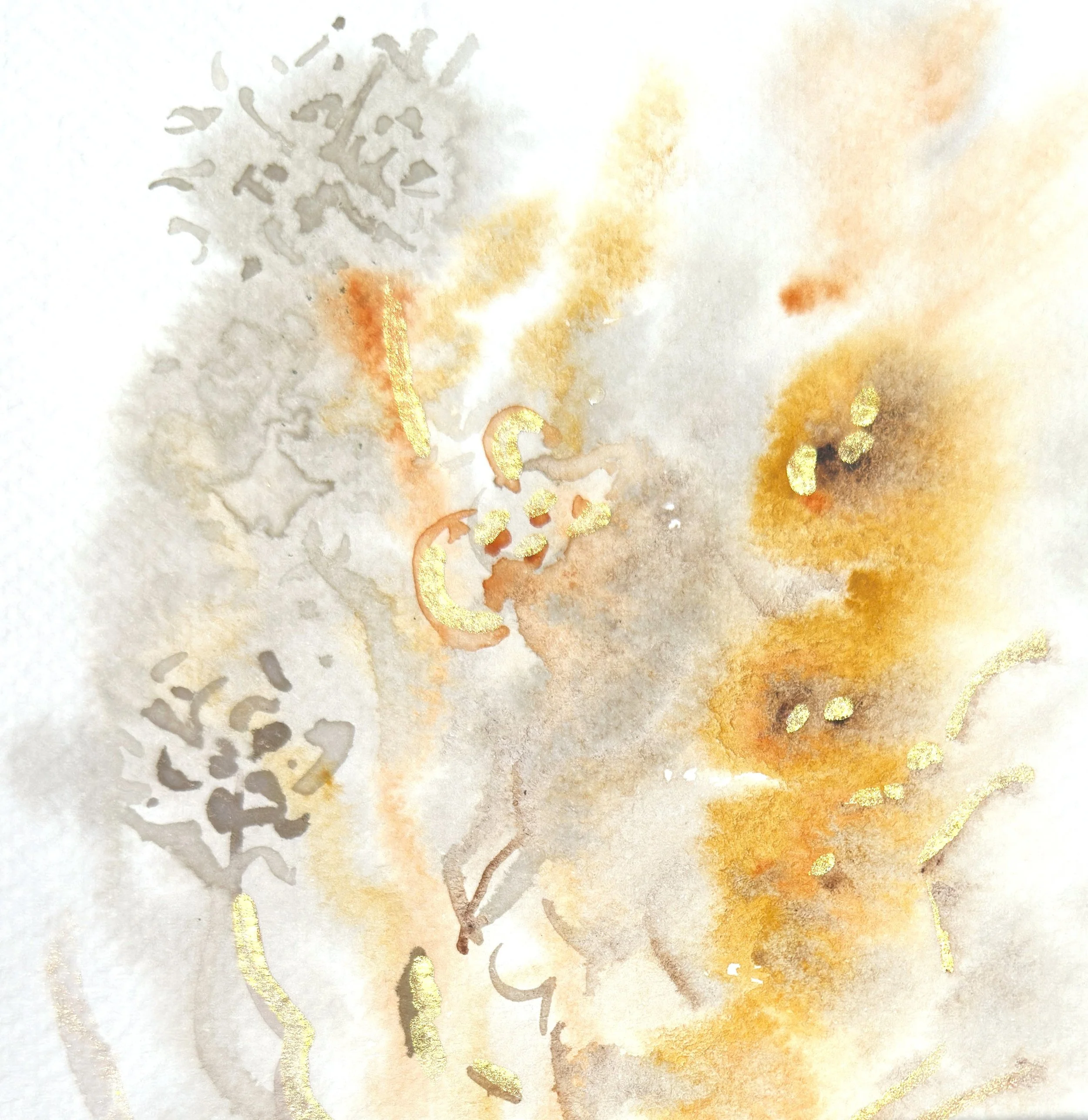 with sun-cut 1-insta.JPG