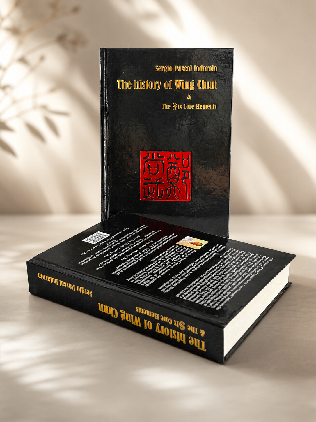 „The history of Wing Chun“ & „The six core elements“ (EN-Version)