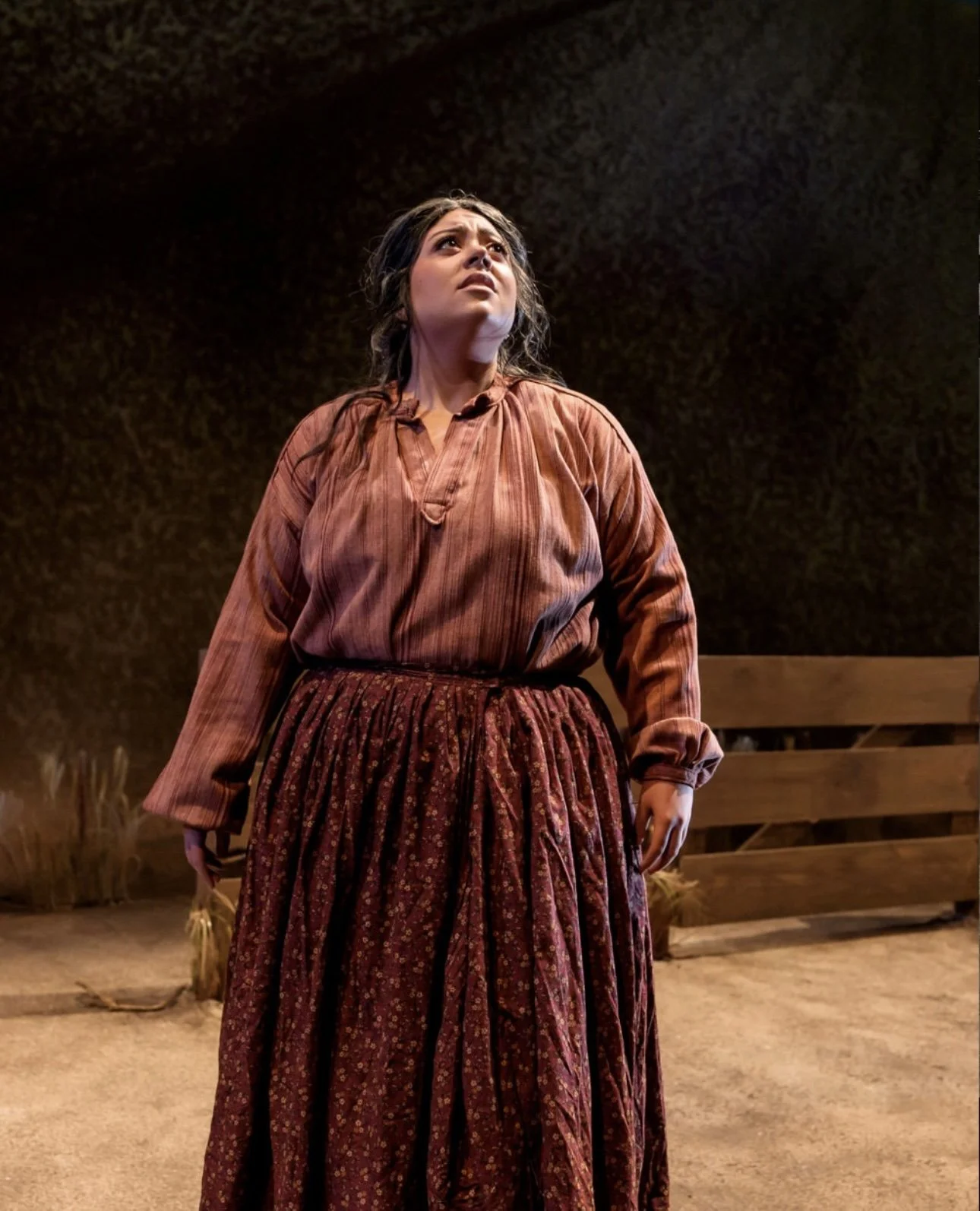Northwestern Opera Theater's Proving Up (2025). Photo courtesy of Todd Rosenberg.