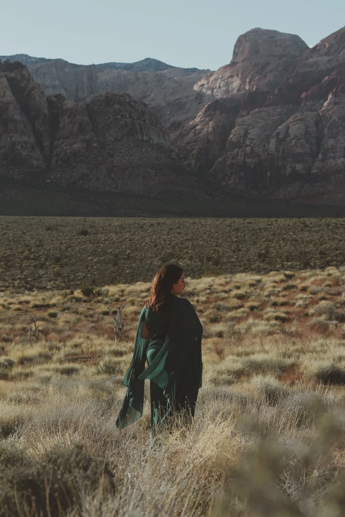 Isabella standing in a dry grassland with mountains in the background.