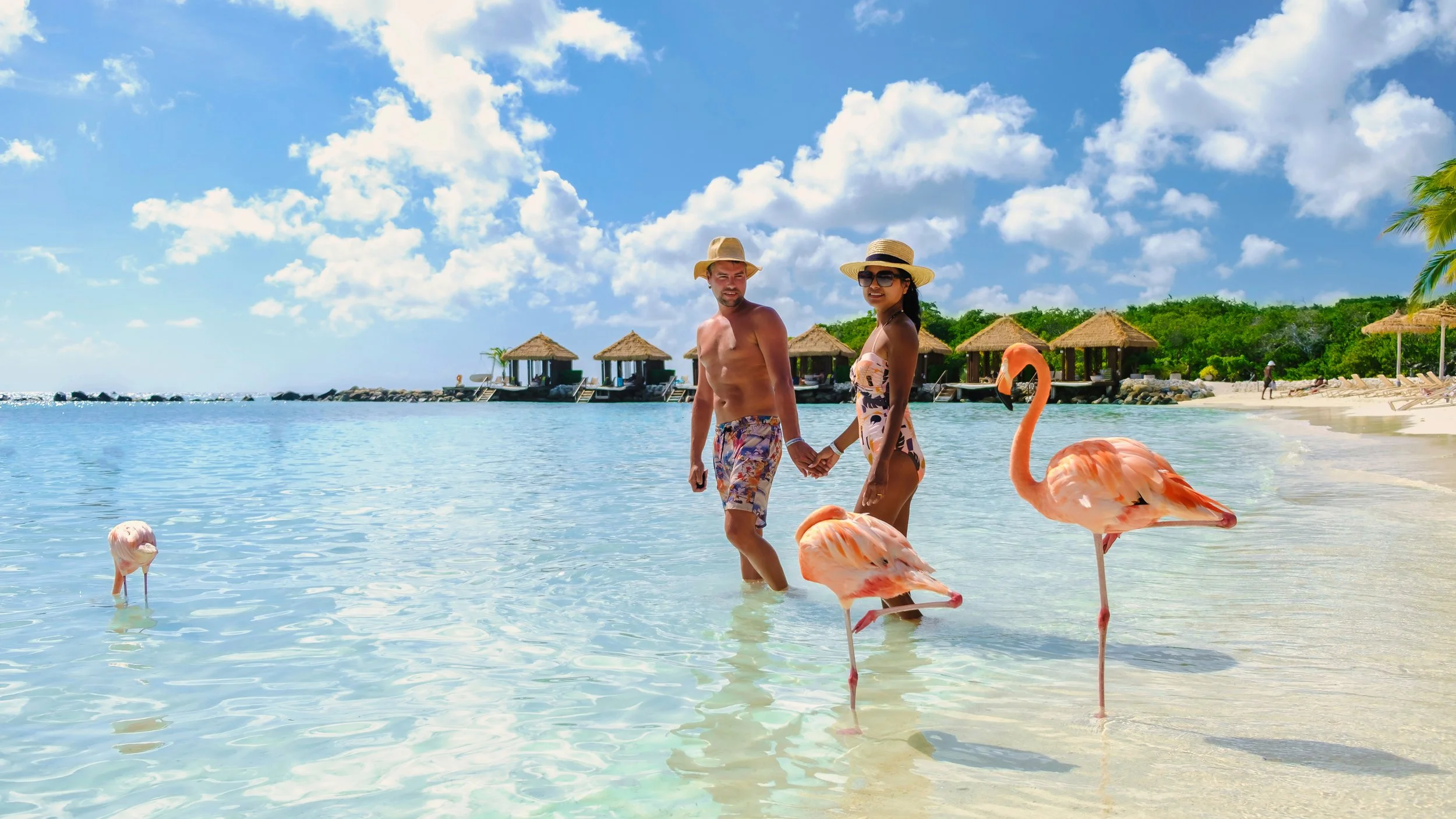 A couple holding hands wading in shallow water at a beach, surrounded by two pink flamingos, with thatched-roof huts on a lush green hillside in the background under a partly cloudy blue sky.