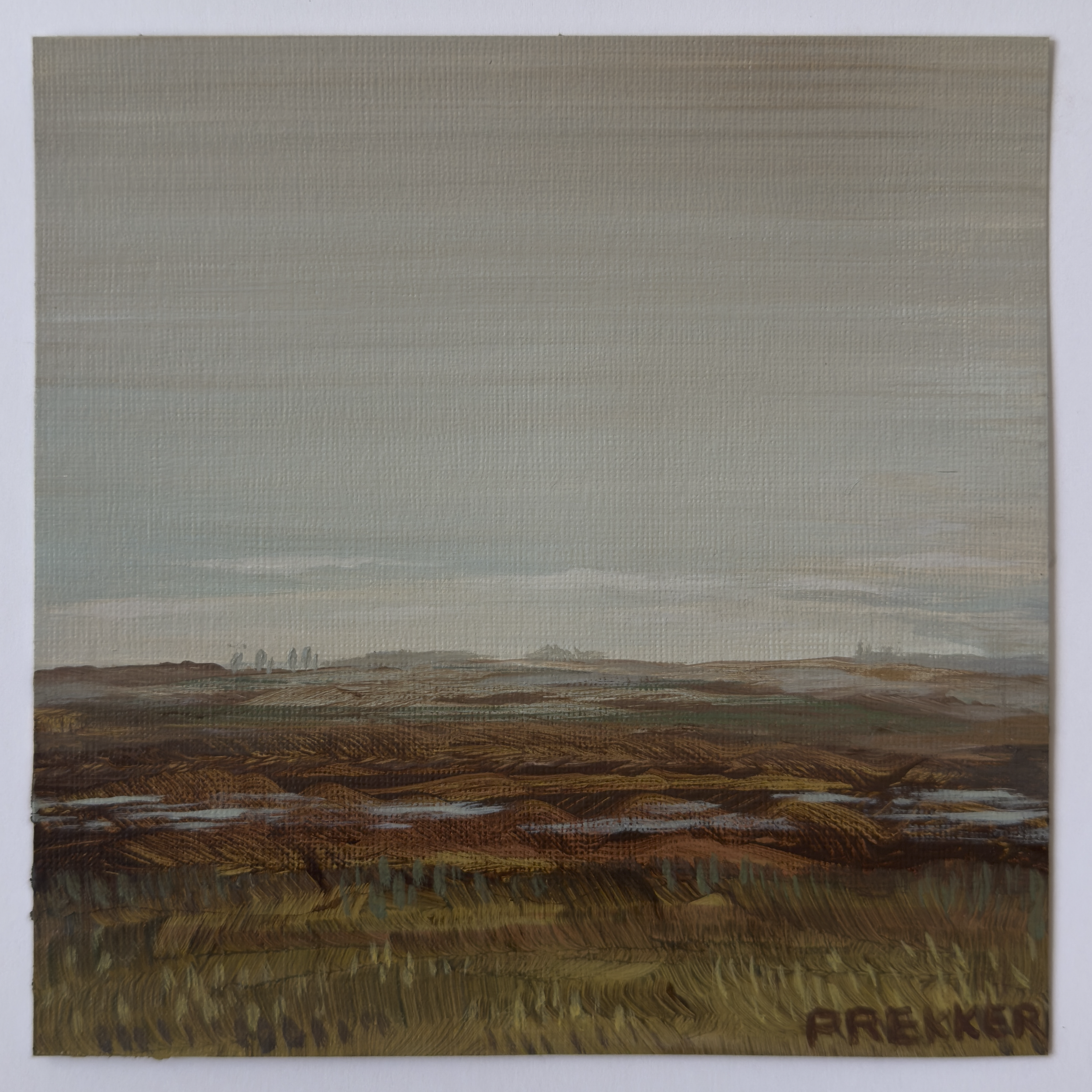 Foggy-Morning-in-Hunter-September-26-2026-3.png