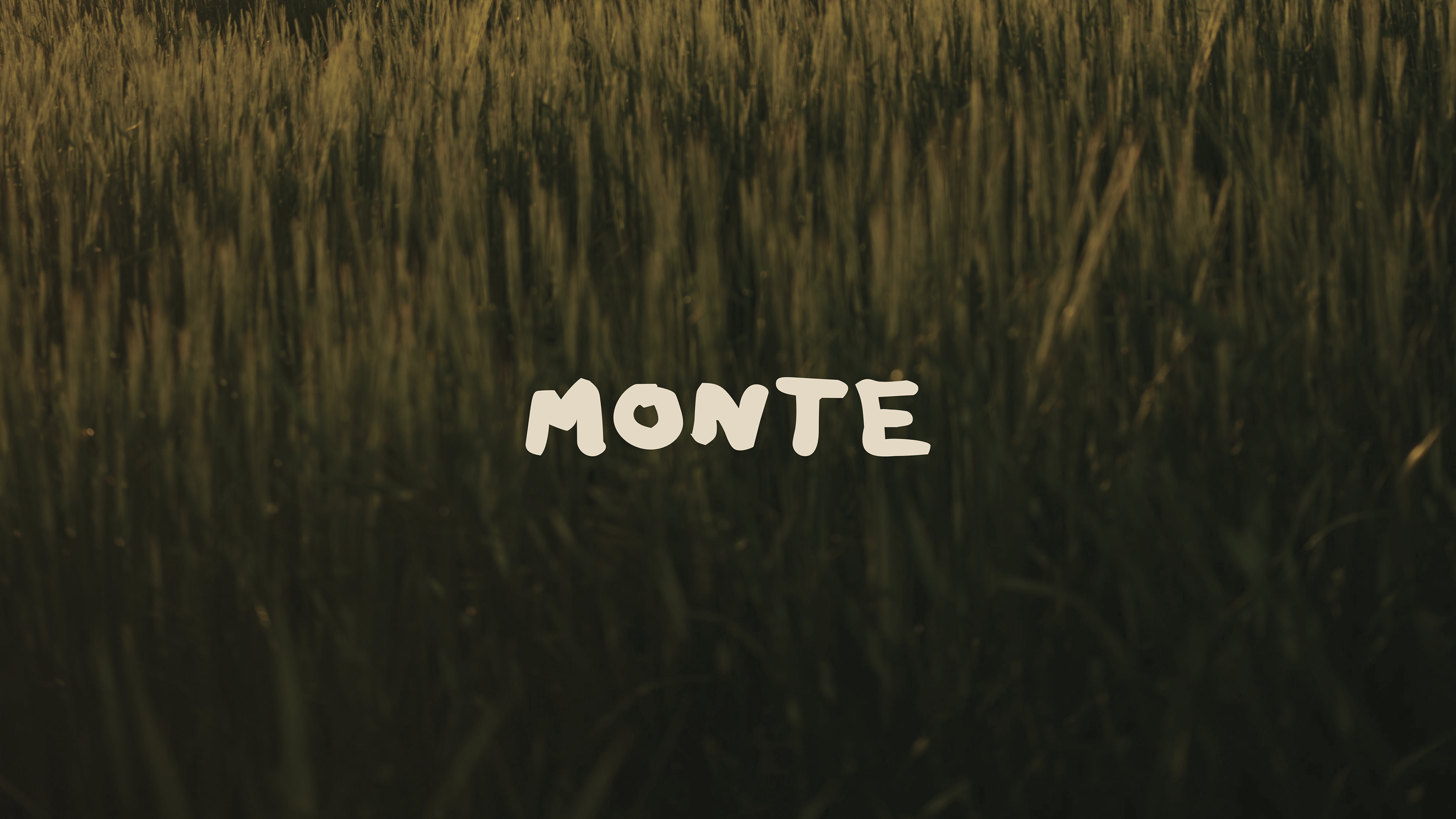 d0c812a4-0579-4b41-b34d-8477c12999af_rw_3840.png