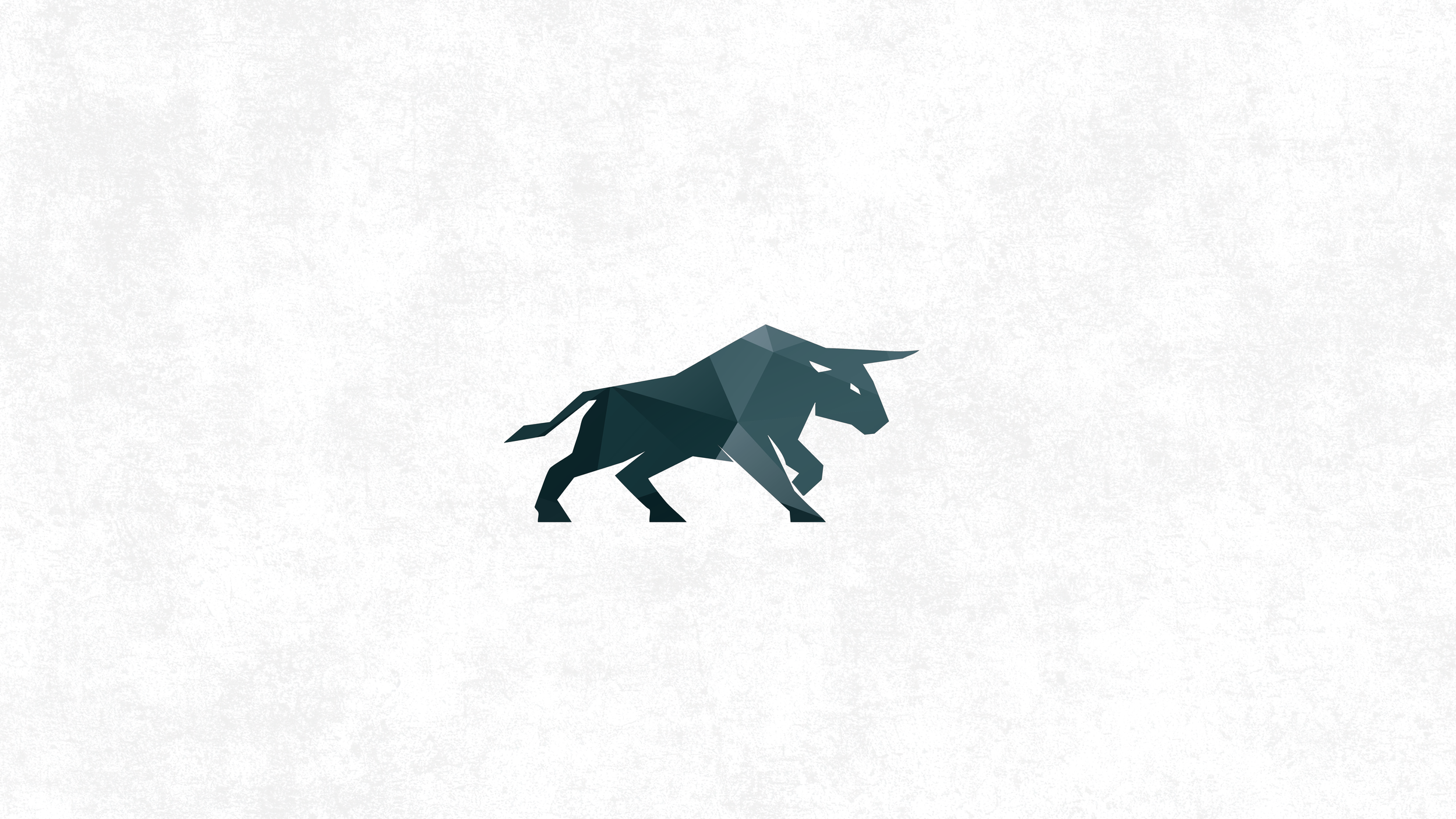 Bull Importaciones
