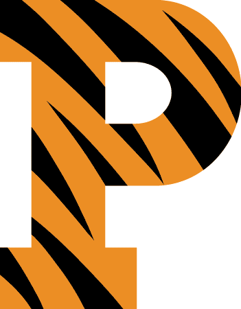 Close-up of a black letter 'P' with an orange and black zebra-striped pattern in the background.