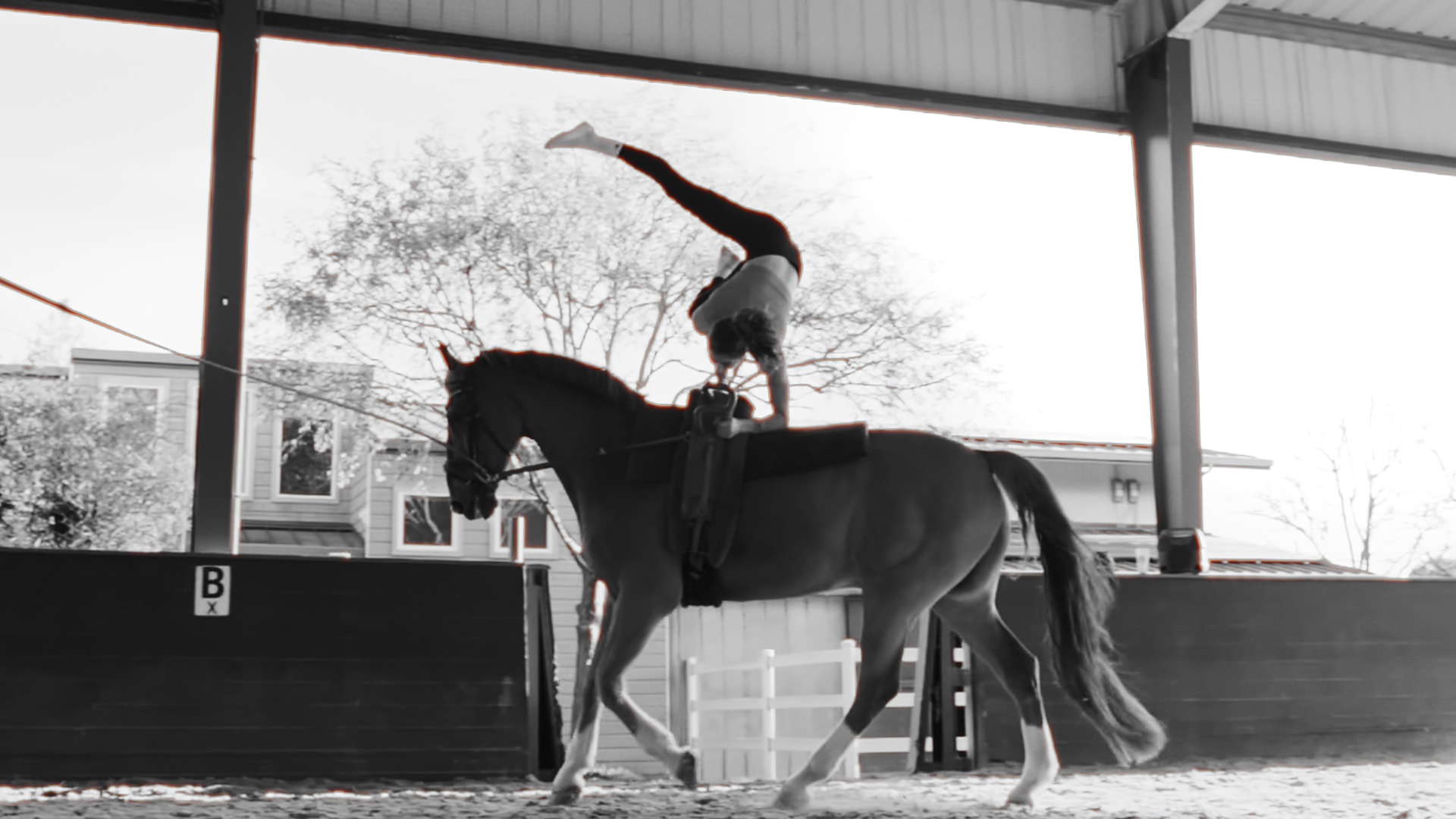 Equestrian Vaulting