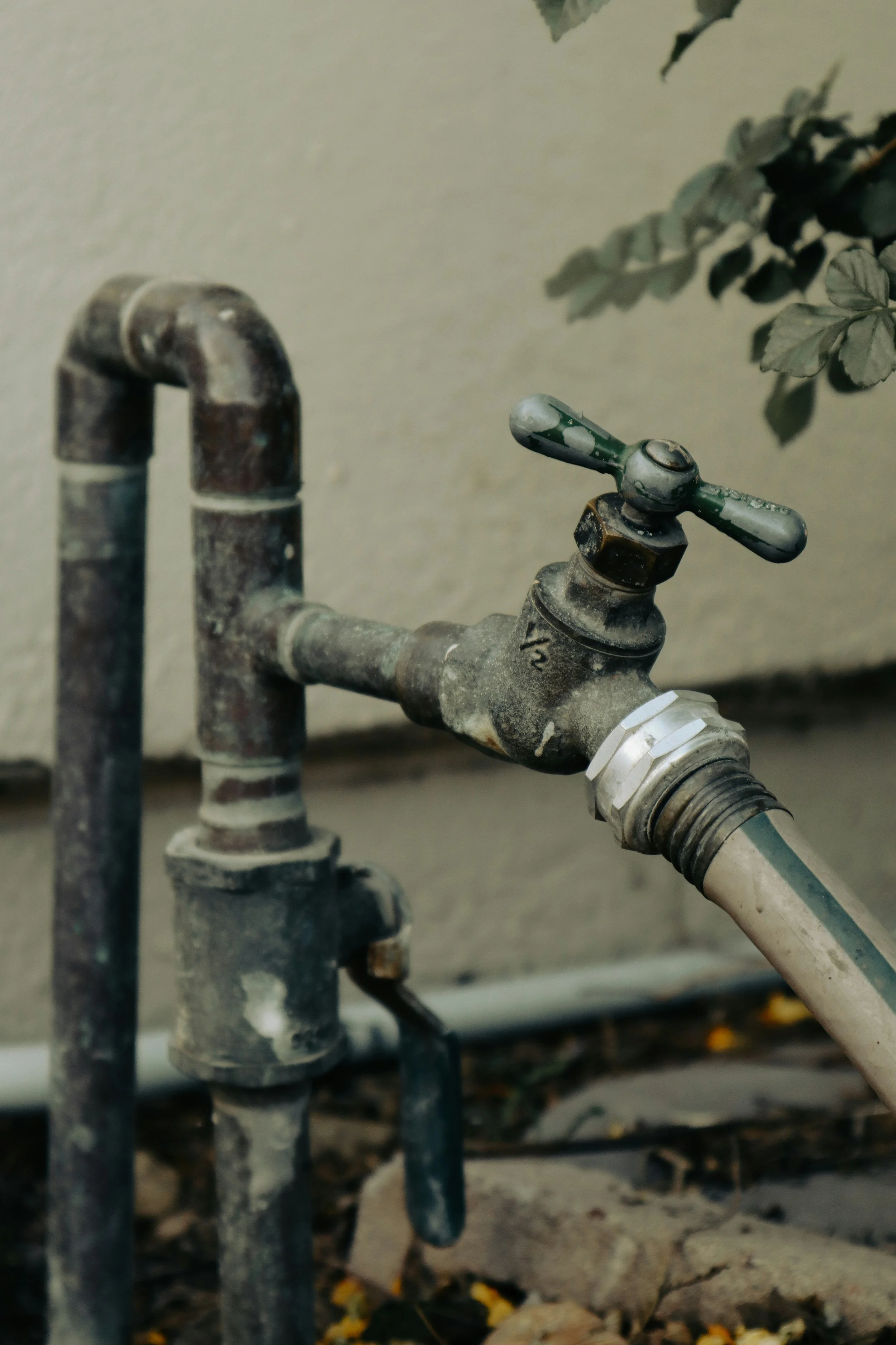 Backflow Services