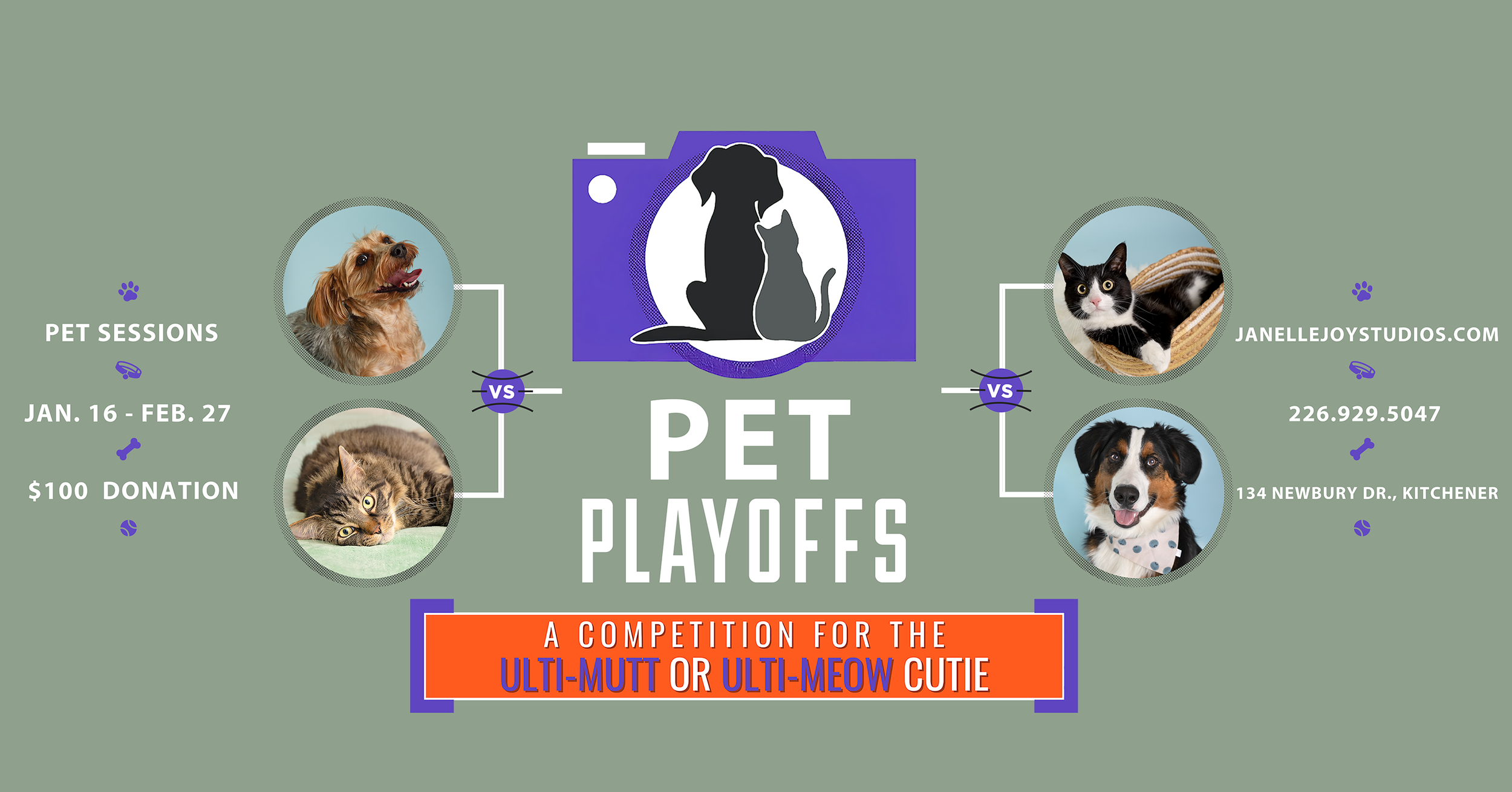 Pet Playoffs bracket competition graphic showing KW pets advancing through voting rounds