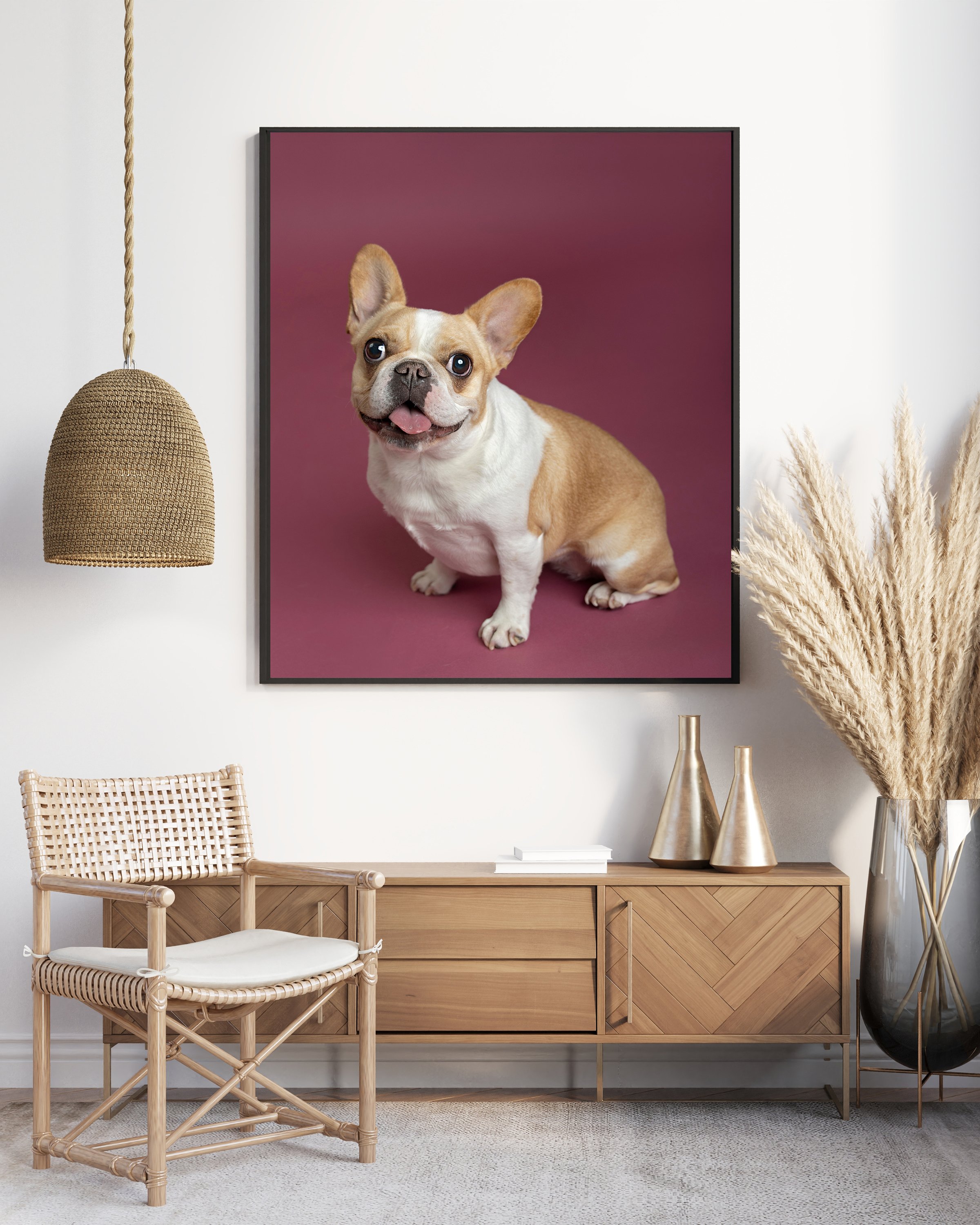 Dog featured on a framed wall art print photographed by Janelle Joy Studios