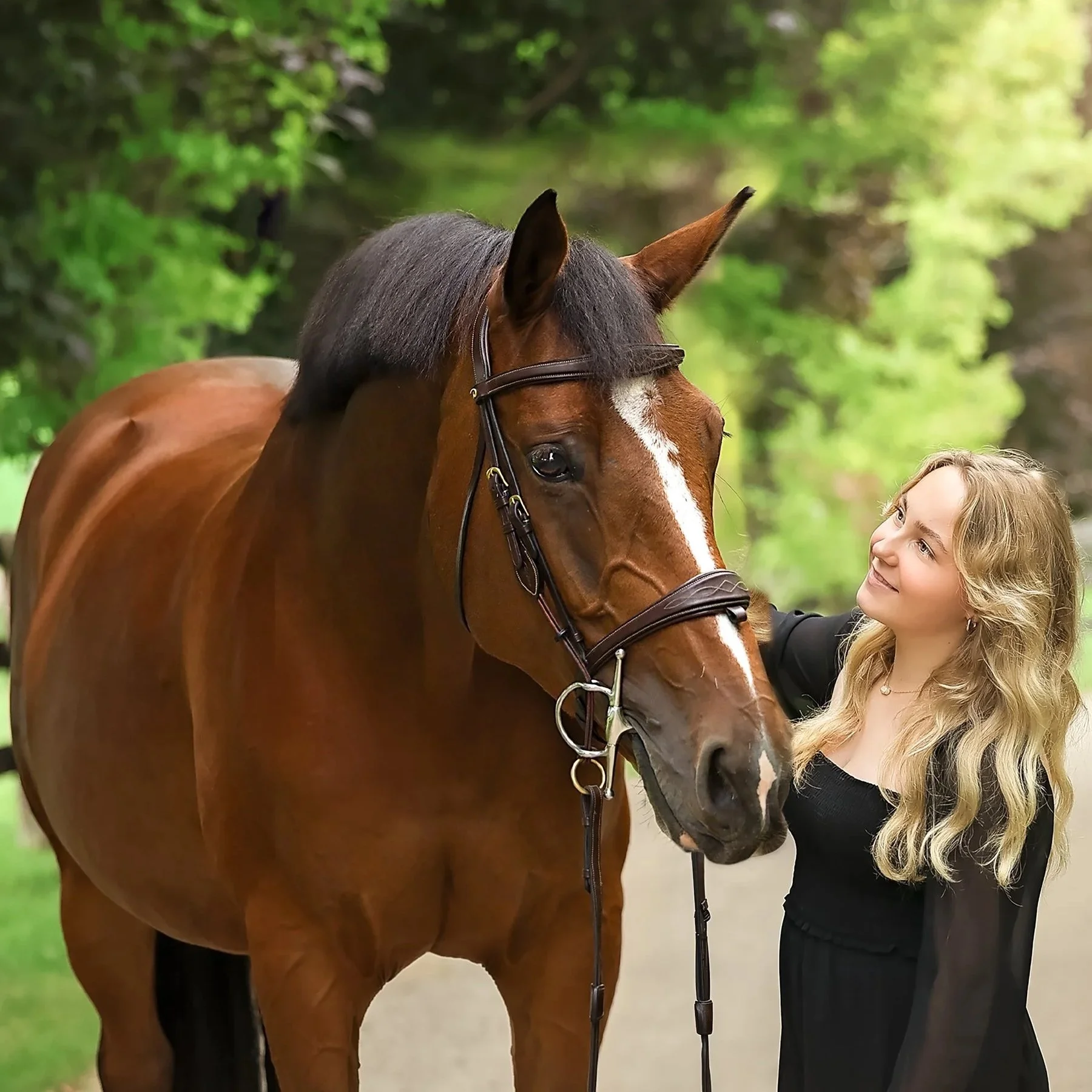 Equine